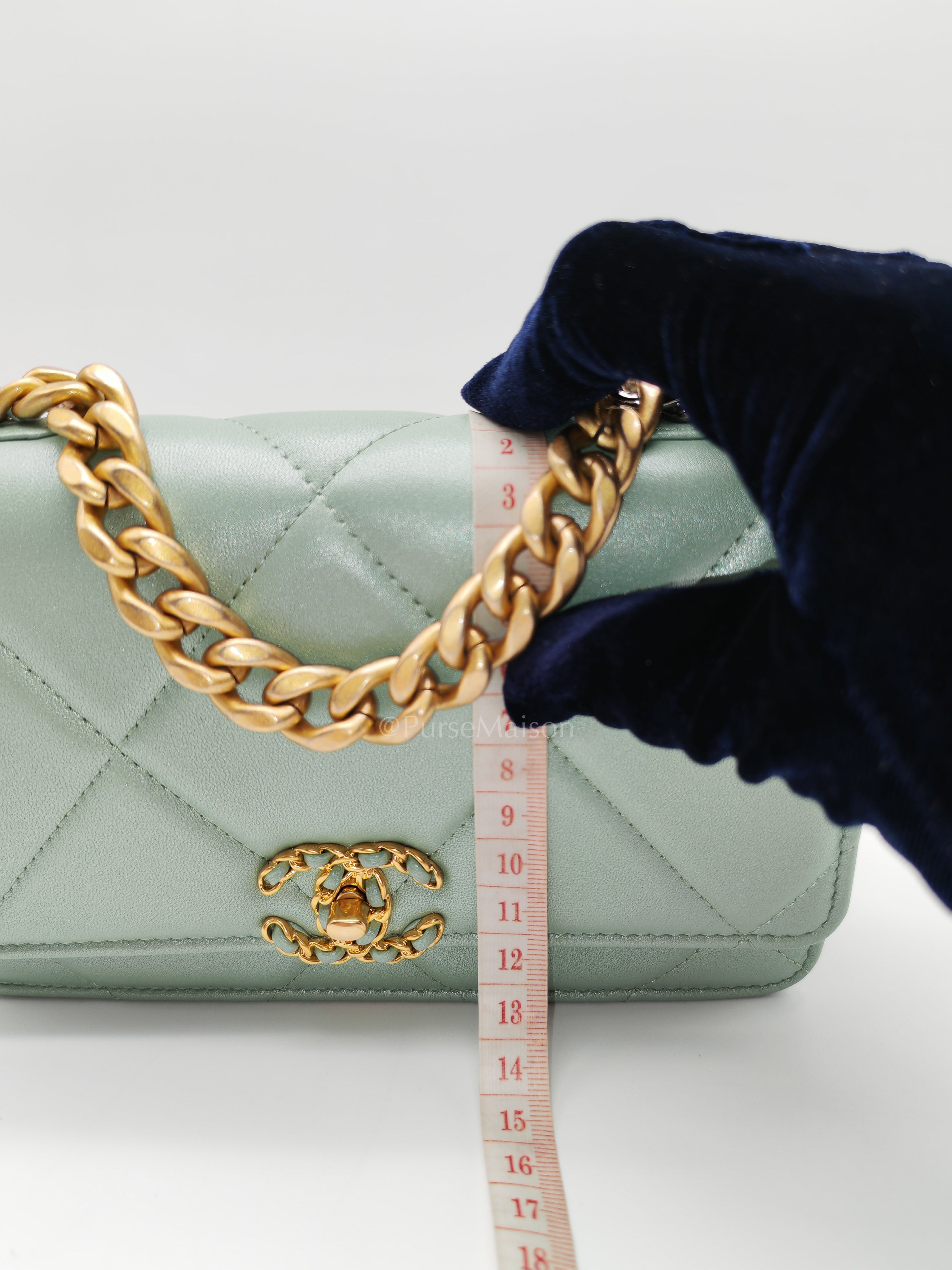 19 Wallet on Chain in Light Green Lambskin Leather & Gold Hardware Microchip | Purse Maison Luxury Bags Shop