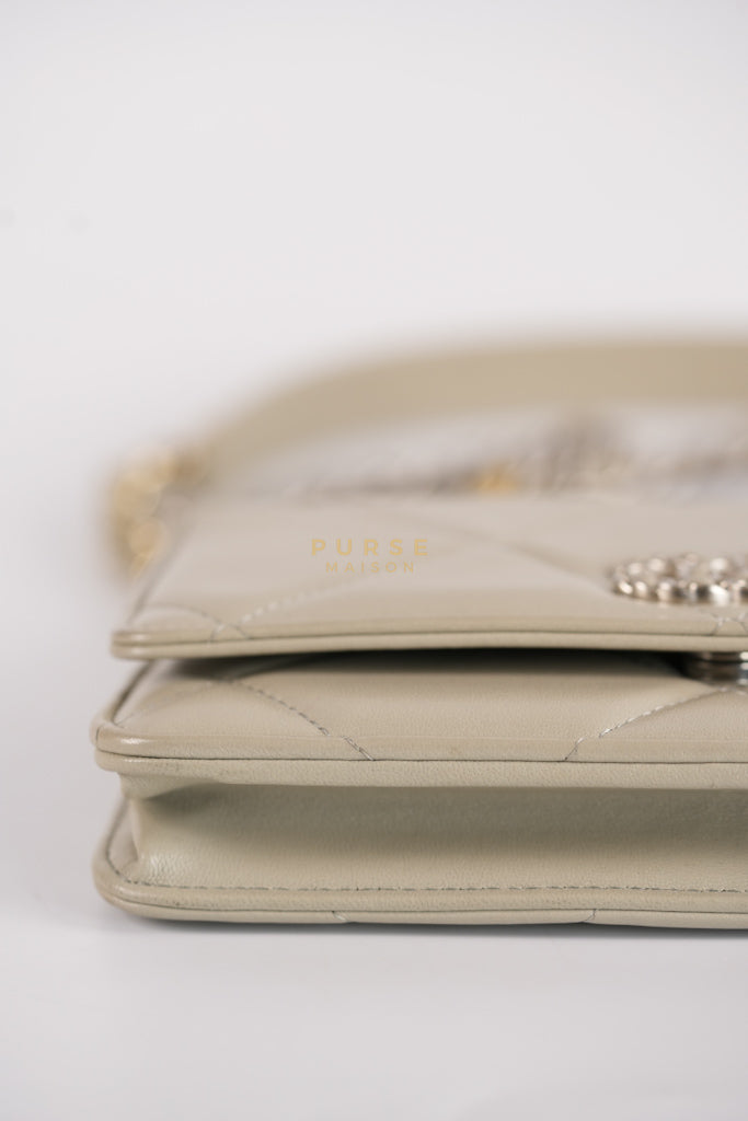 19 Wallet on Chain Light Gray in Mixed Hardware (Microchip) | Purse Maison Luxury Bags Shop