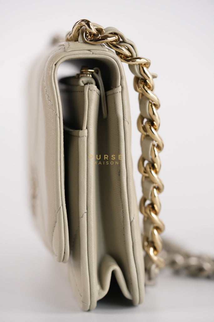 19 Wallet on Chain Light Gray in Mixed Hardware (Microchip) | Purse Maison Luxury Bags Shop