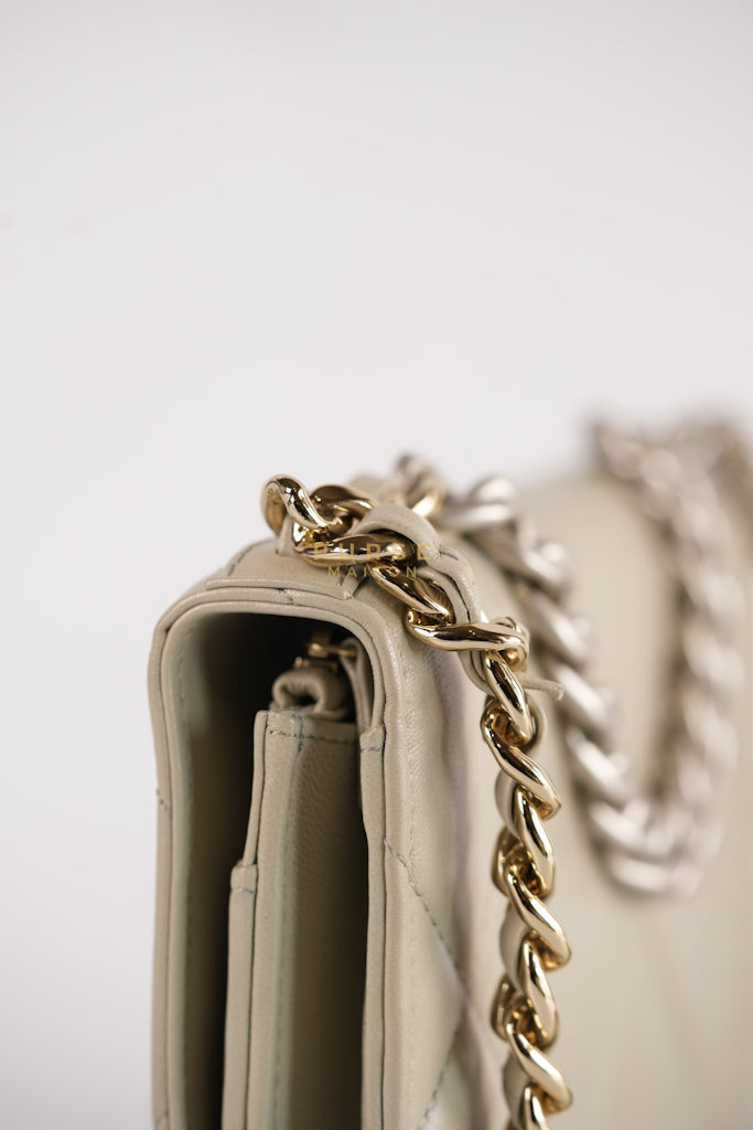 19 Wallet on Chain Light Gray in Mixed Hardware (Microchip) | Purse Maison Luxury Bags Shop