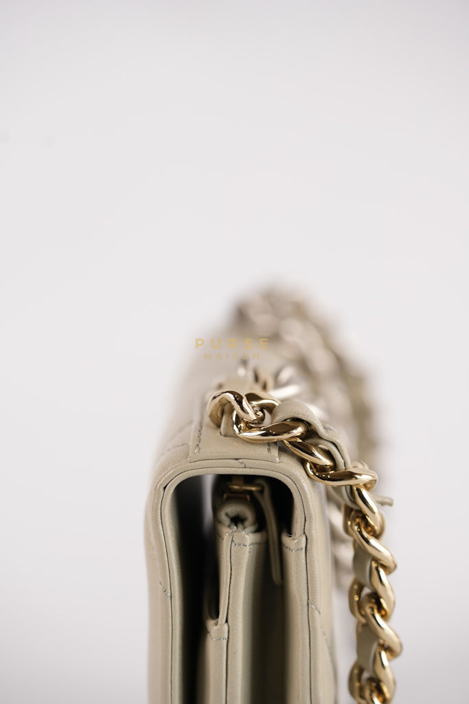 19 Wallet on Chain Light Gray in Mixed Hardware (Microchip) | Purse Maison Luxury Bags Shop