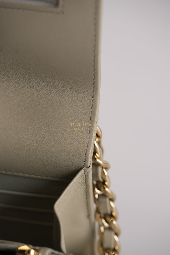 19 Wallet on Chain Light Gray in Mixed Hardware (Microchip) | Purse Maison Luxury Bags Shop