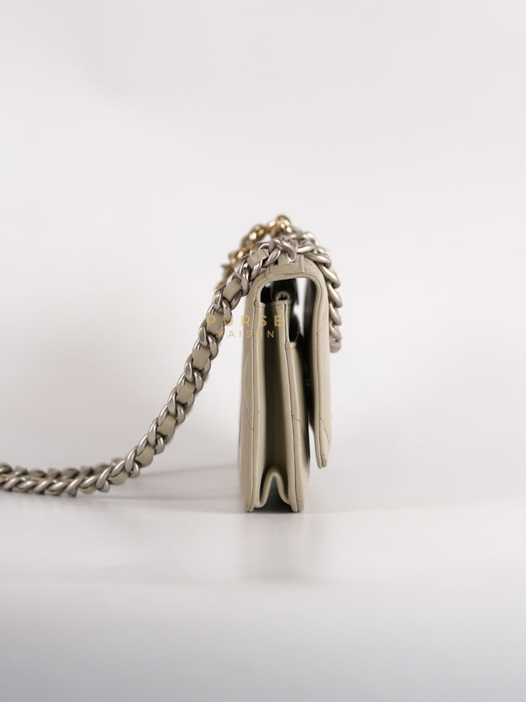19 Wallet on Chain Light Gray in Mixed Hardware (Microchip) | Purse Maison Luxury Bags Shop