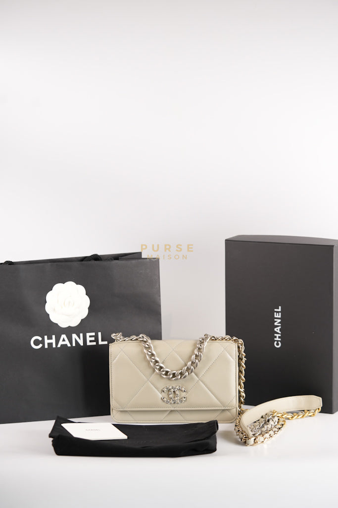 19 Wallet on Chain Light Gray in Mixed Hardware (Microchip) | Purse Maison Luxury Bags Shop