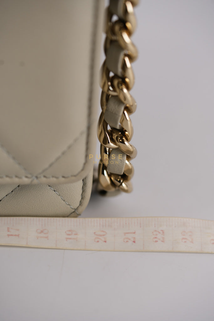 19 Wallet on Chain Light Gray in Mixed Hardware (Microchip) | Purse Maison Luxury Bags Shop