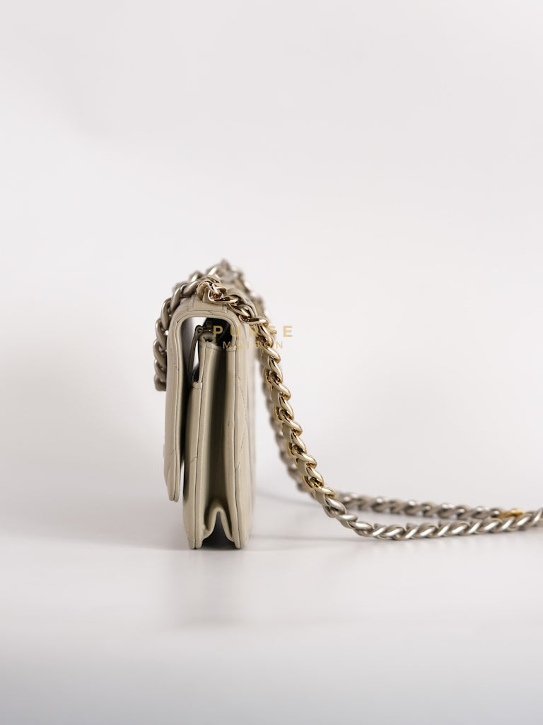 19 Wallet on Chain Light Gray in Mixed Hardware (Microchip) | Purse Maison Luxury Bags Shop