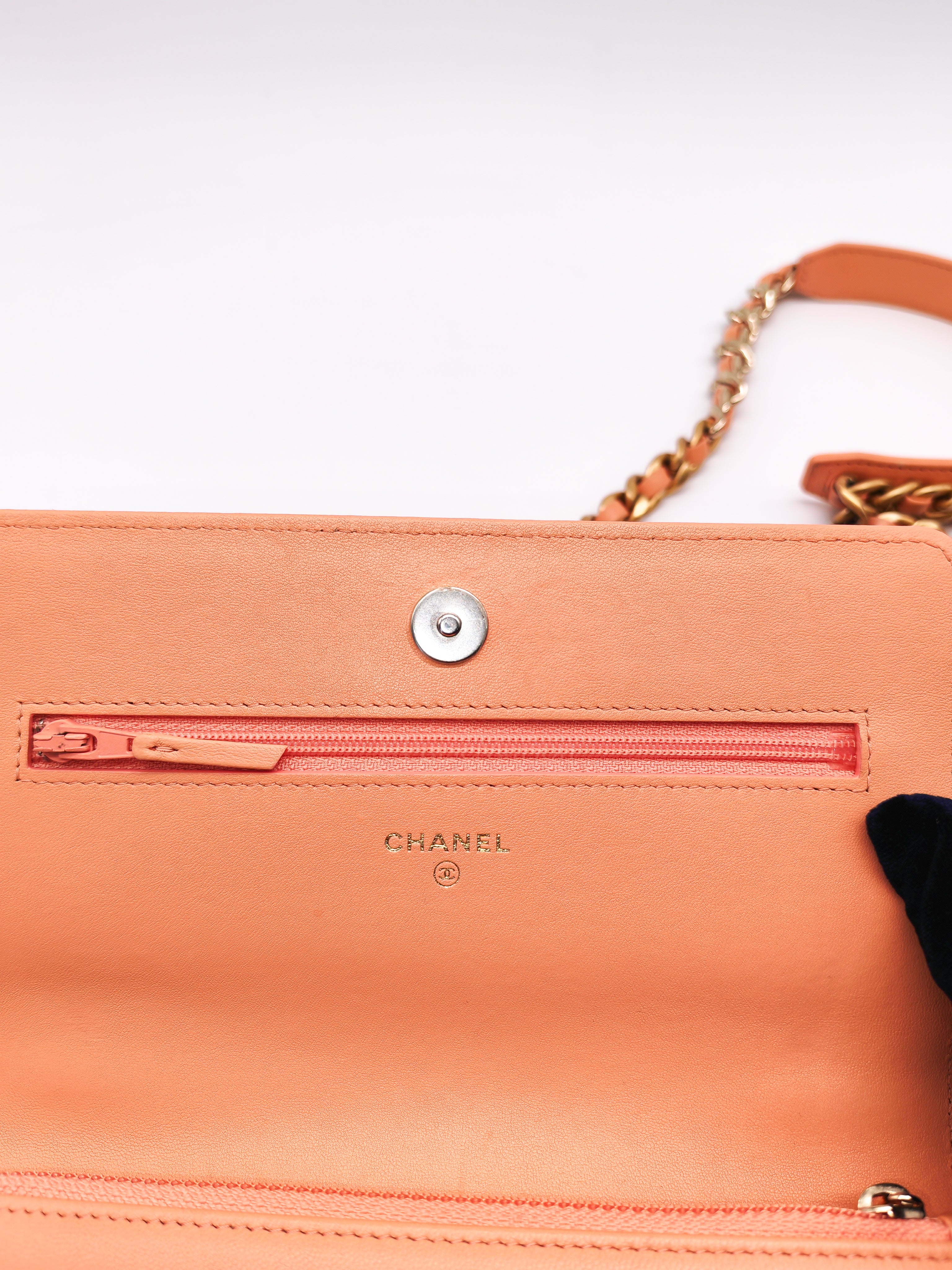19 Wallet on Chain(WOC) in Pink Salmon Lambskin Mix Hardware Lambskin Leather (Microchip) | Purse Maison Luxury Bags Shop