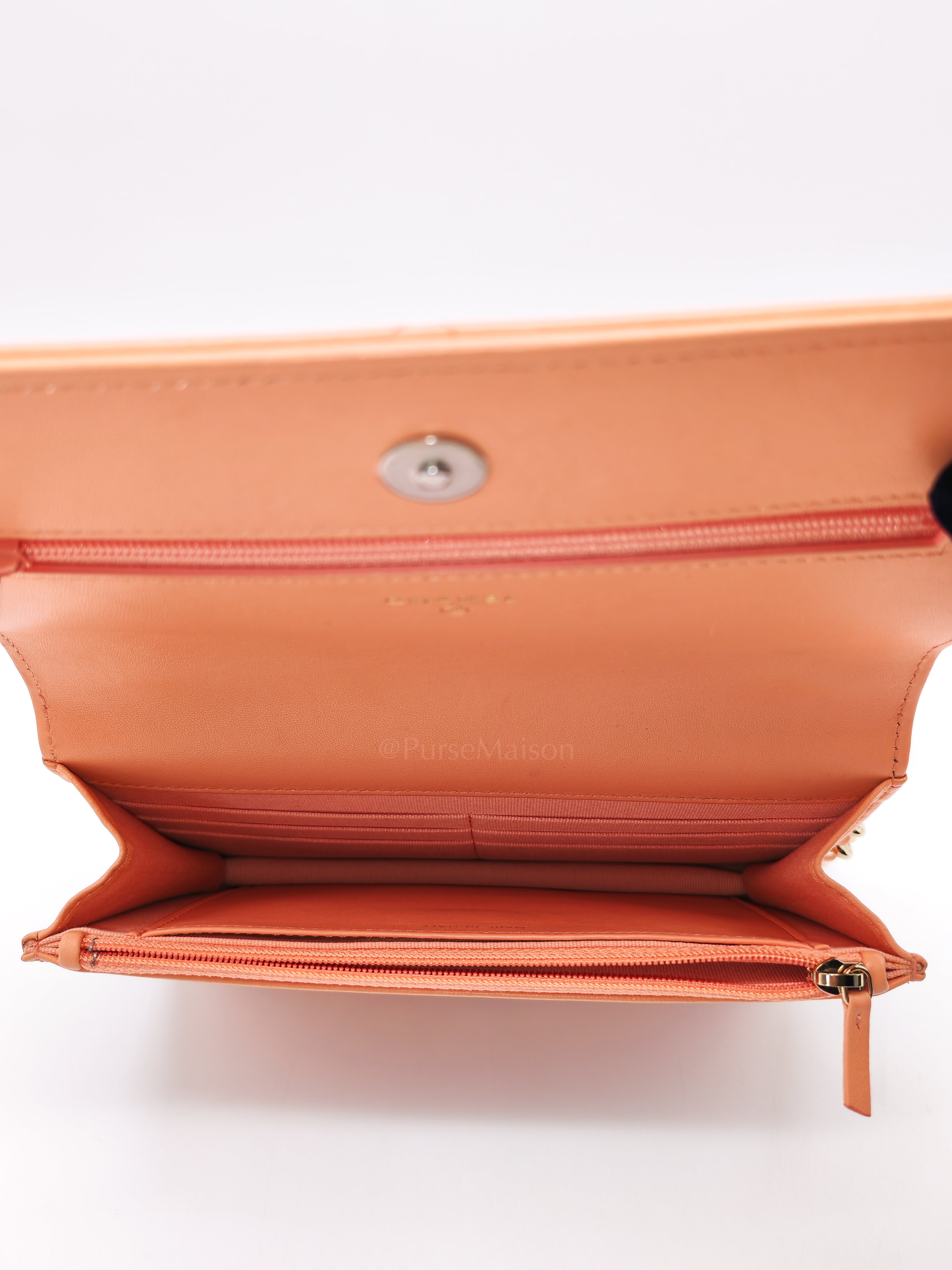 19 Wallet on Chain(WOC) in Pink Salmon Lambskin Mix Hardware Lambskin Leather (Microchip) | Purse Maison Luxury Bags Shop