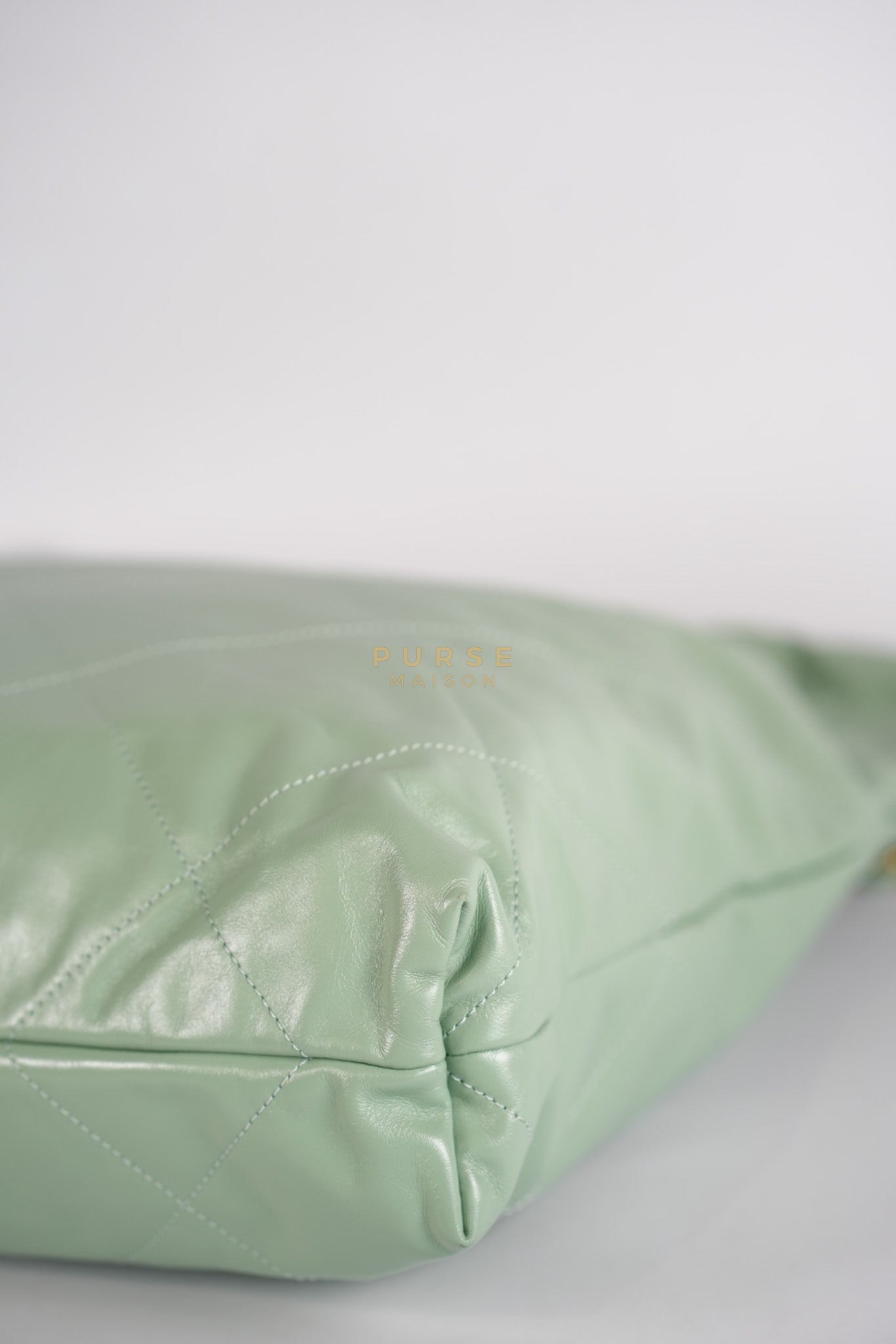 22 Medium in Light Green Shiny Calfskin Leather & Aged Gold Hardware (Microchip) | Purse Maison Luxury Bags Shop