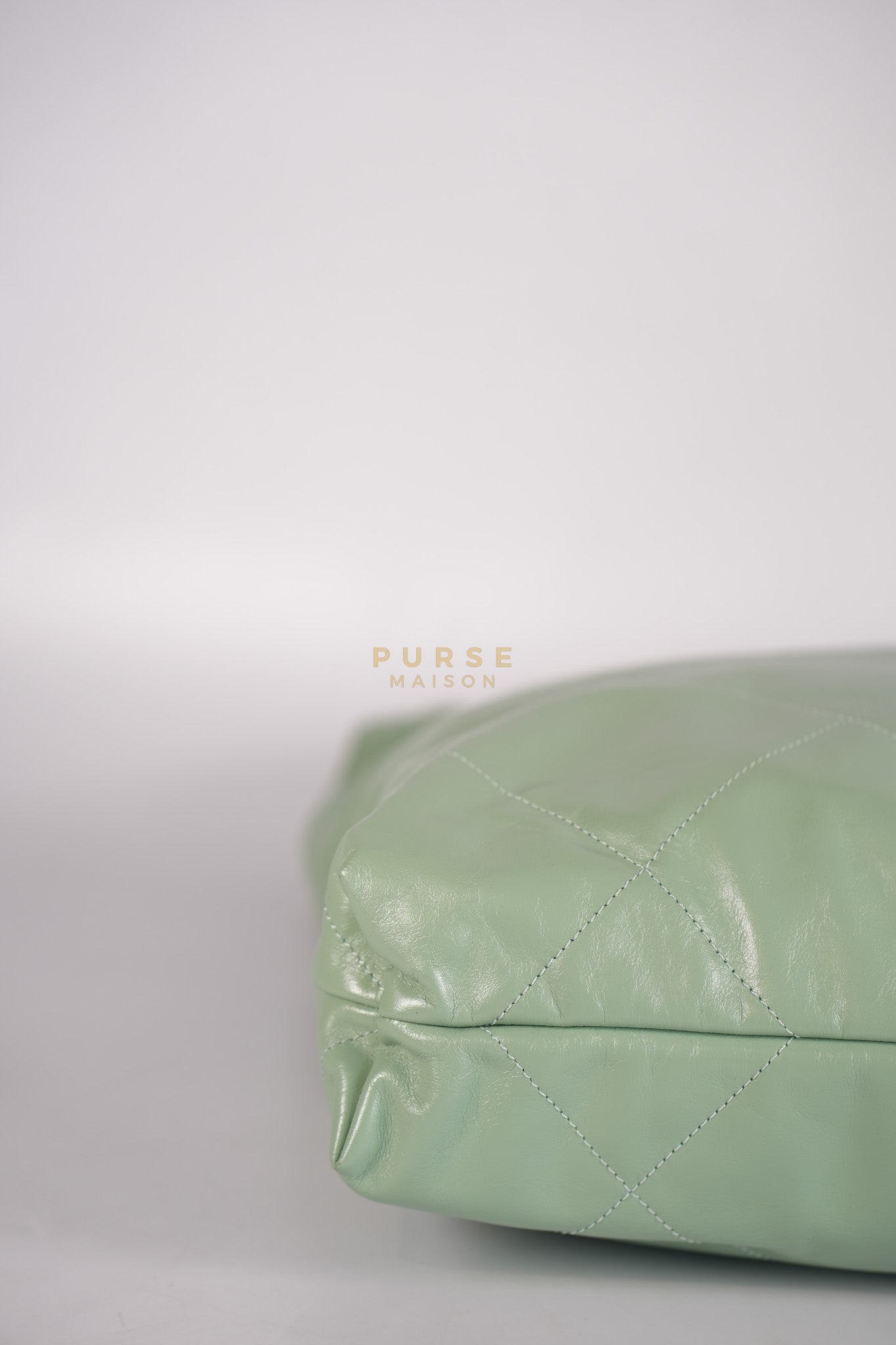22 Medium in Light Green Shiny Calfskin Leather & Aged Gold Hardware (Microchip) | Purse Maison Luxury Bags Shop