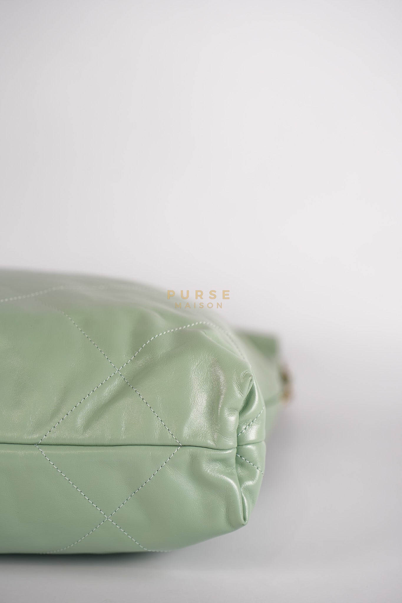 22 Medium in Light Green Shiny Calfskin Leather & Aged Gold Hardware (Microchip) | Purse Maison Luxury Bags Shop