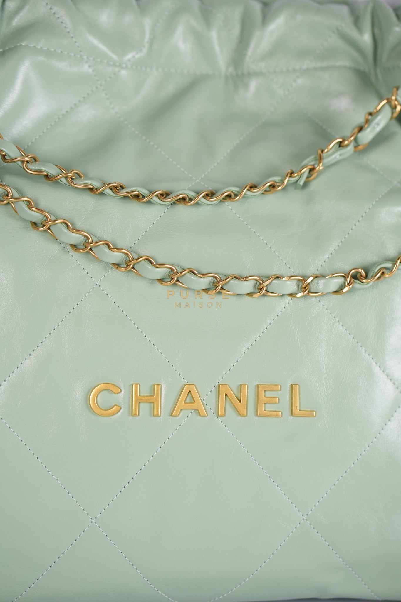 22 Medium in Light Green Shiny Calfskin Leather & Aged Gold Hardware (Microchip) | Purse Maison Luxury Bags Shop