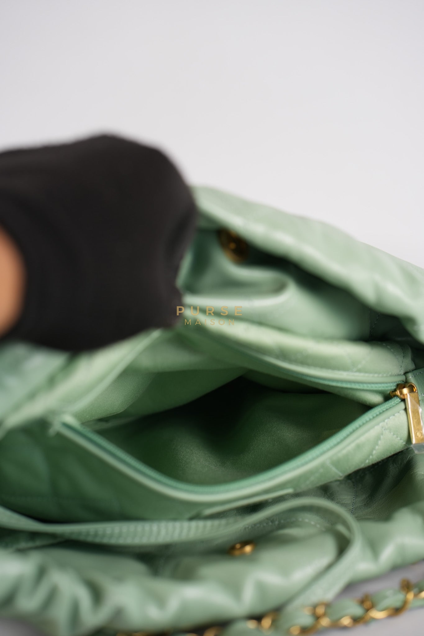 22 Medium in Light Green Shiny Calfskin Leather & Aged Gold Hardware (Microchip) | Purse Maison Luxury Bags Shop