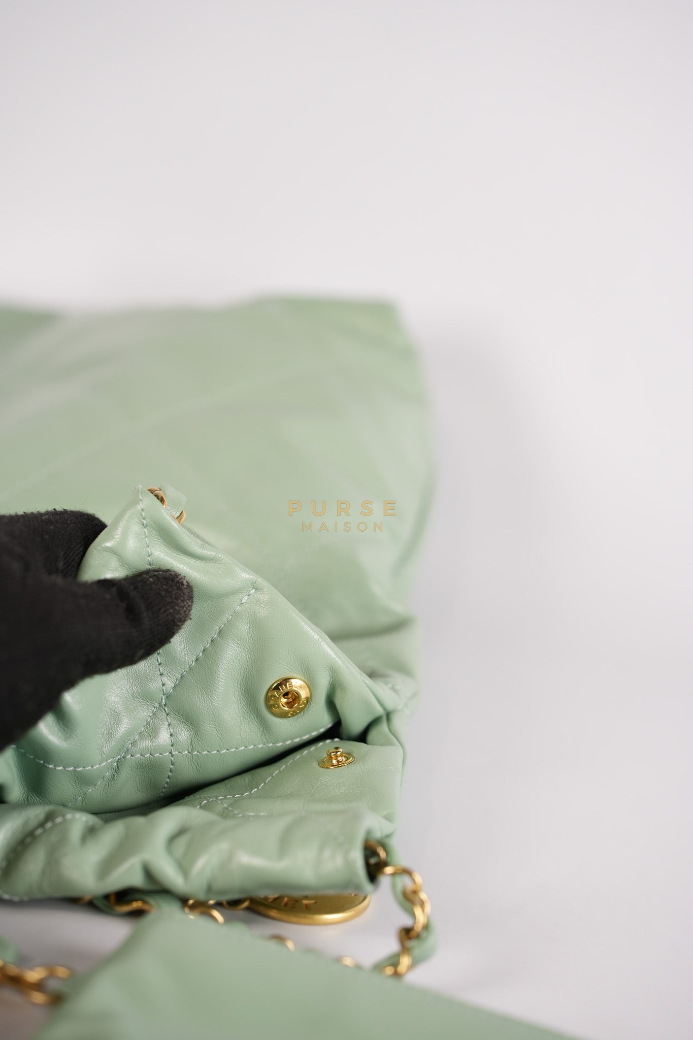 22 Medium in Light Green Shiny Calfskin Leather & Aged Gold Hardware (Microchip) | Purse Maison Luxury Bags Shop