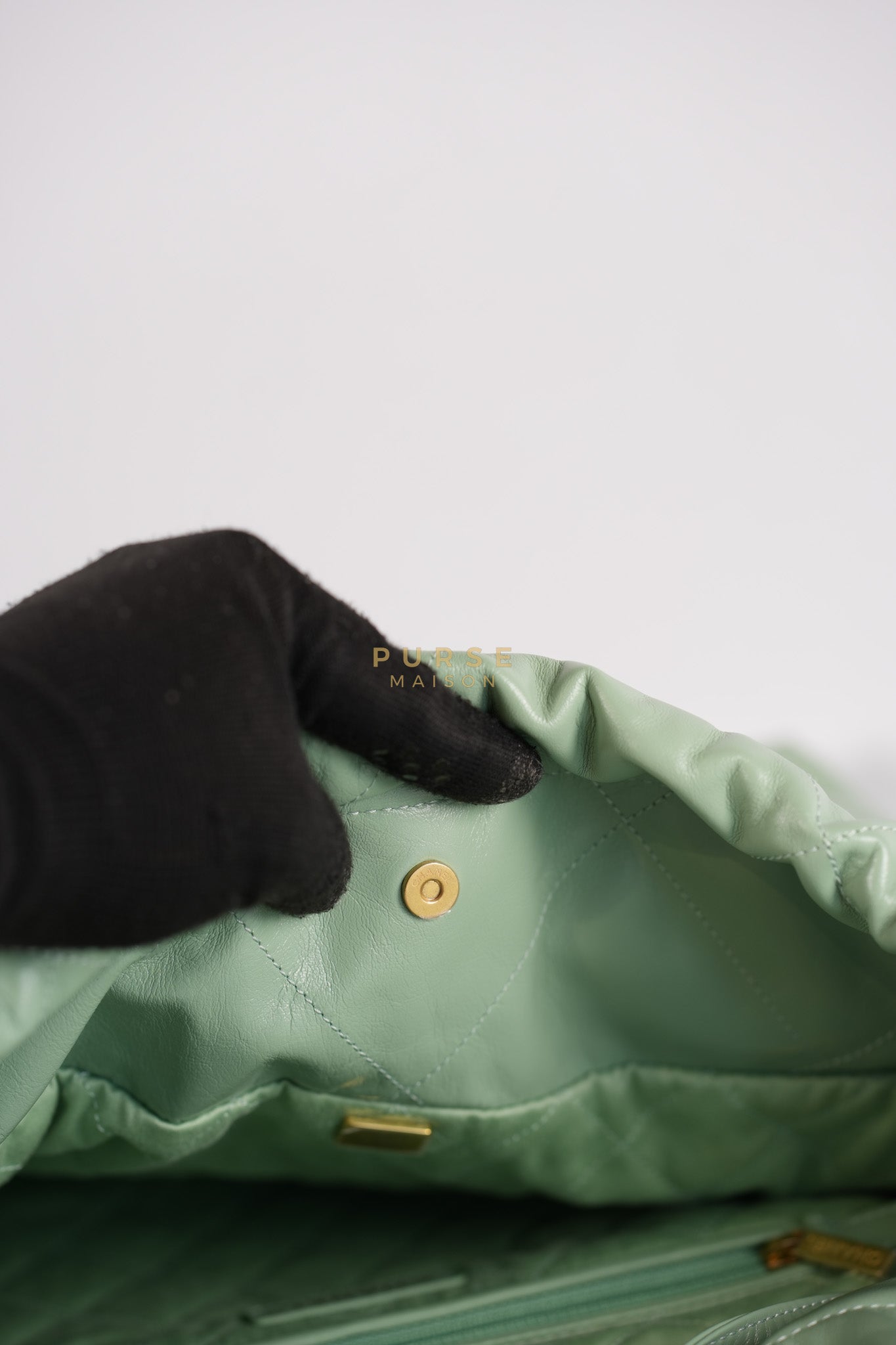 22 Medium in Light Green Shiny Calfskin Leather & Aged Gold Hardware (Microchip) | Purse Maison Luxury Bags Shop