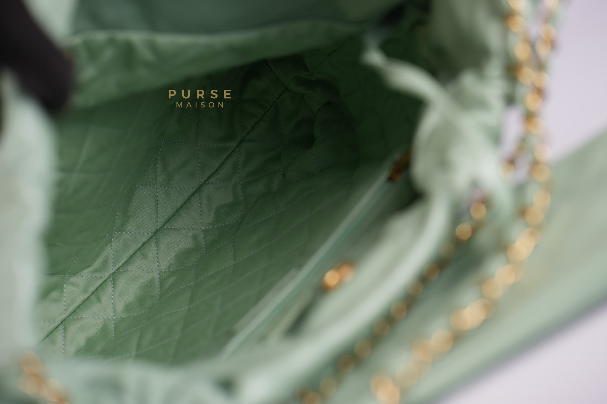 22 Medium in Light Green Shiny Calfskin Leather & Aged Gold Hardware (Microchip) | Purse Maison Luxury Bags Shop