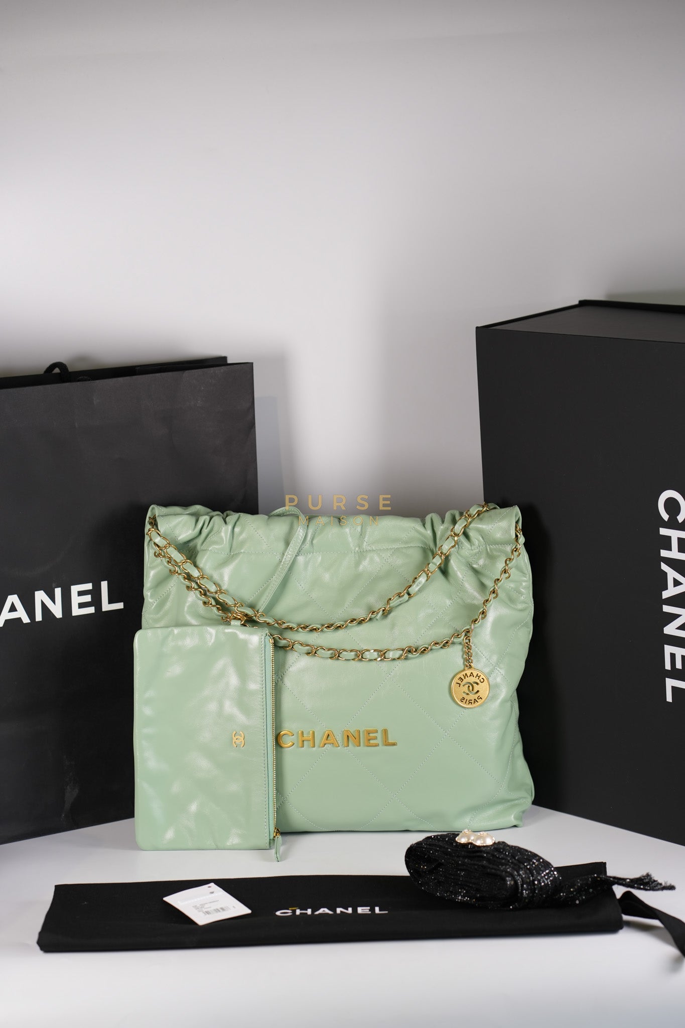 22 Medium in Light Green Shiny Calfskin Leather & Aged Gold Hardware (Microchip) | Purse Maison Luxury Bags Shop