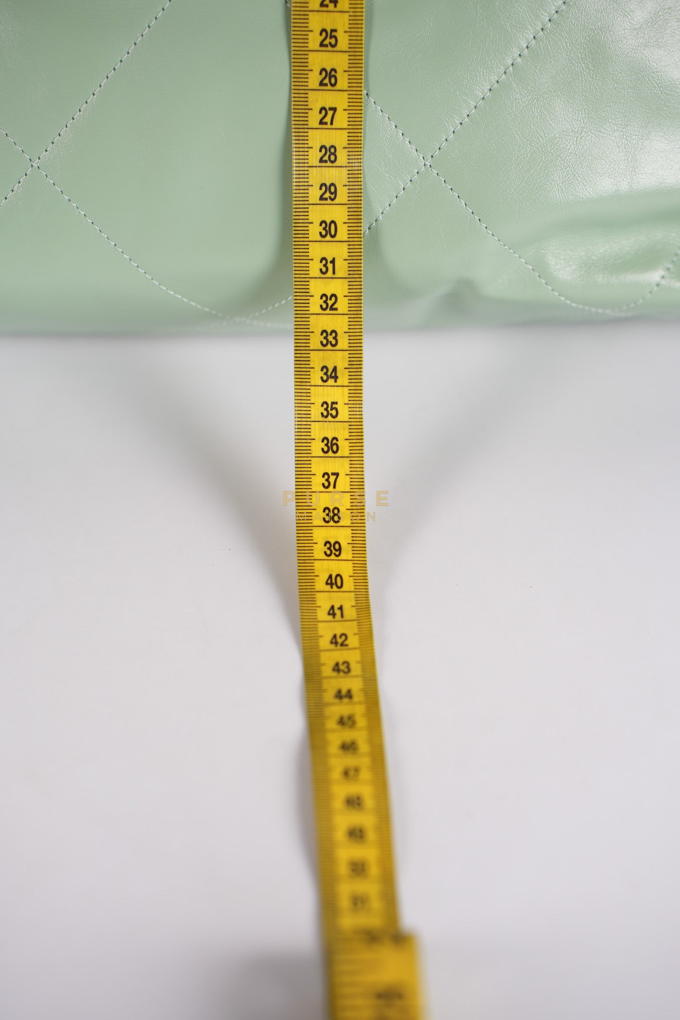 22 Medium in Light Green Shiny Calfskin Leather & Aged Gold Hardware (Microchip) | Purse Maison Luxury Bags Shop