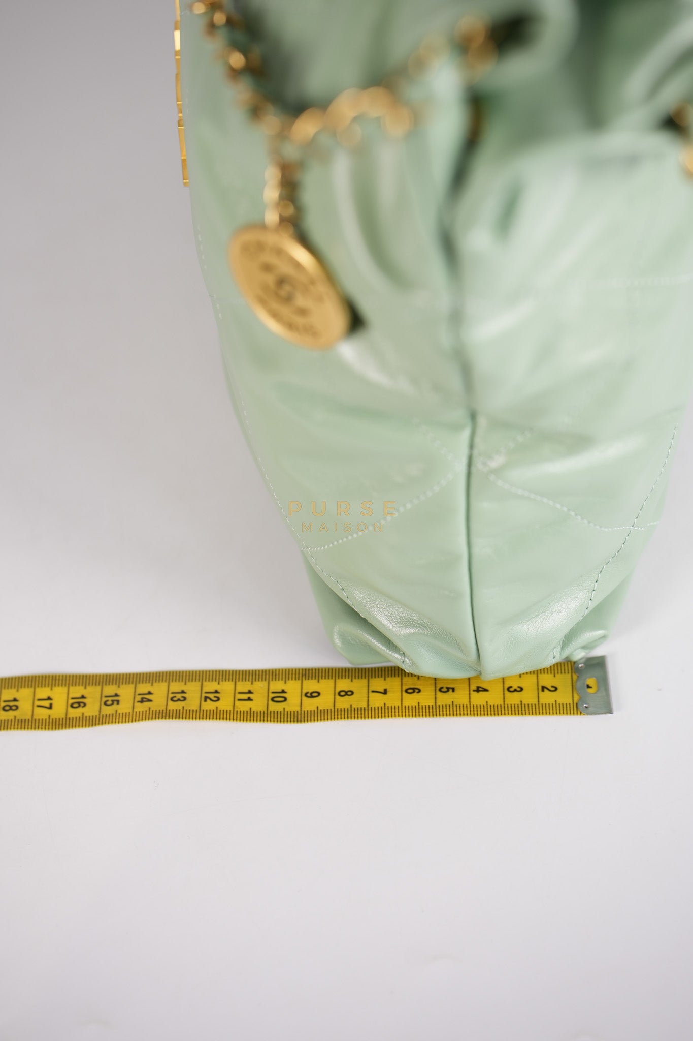 22 Medium in Light Green Shiny Calfskin Leather & Aged Gold Hardware (Microchip) | Purse Maison Luxury Bags Shop