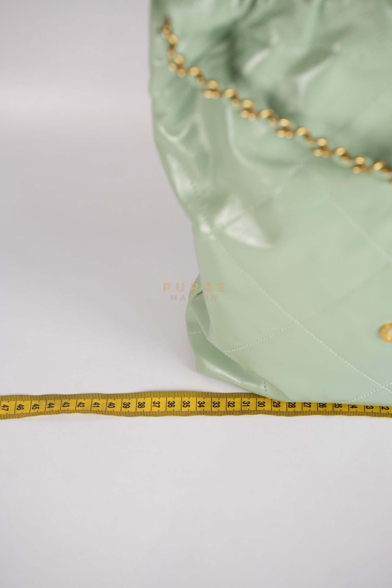 22 Medium in Light Green Shiny Calfskin Leather & Aged Gold Hardware (Microchip) | Purse Maison Luxury Bags Shop