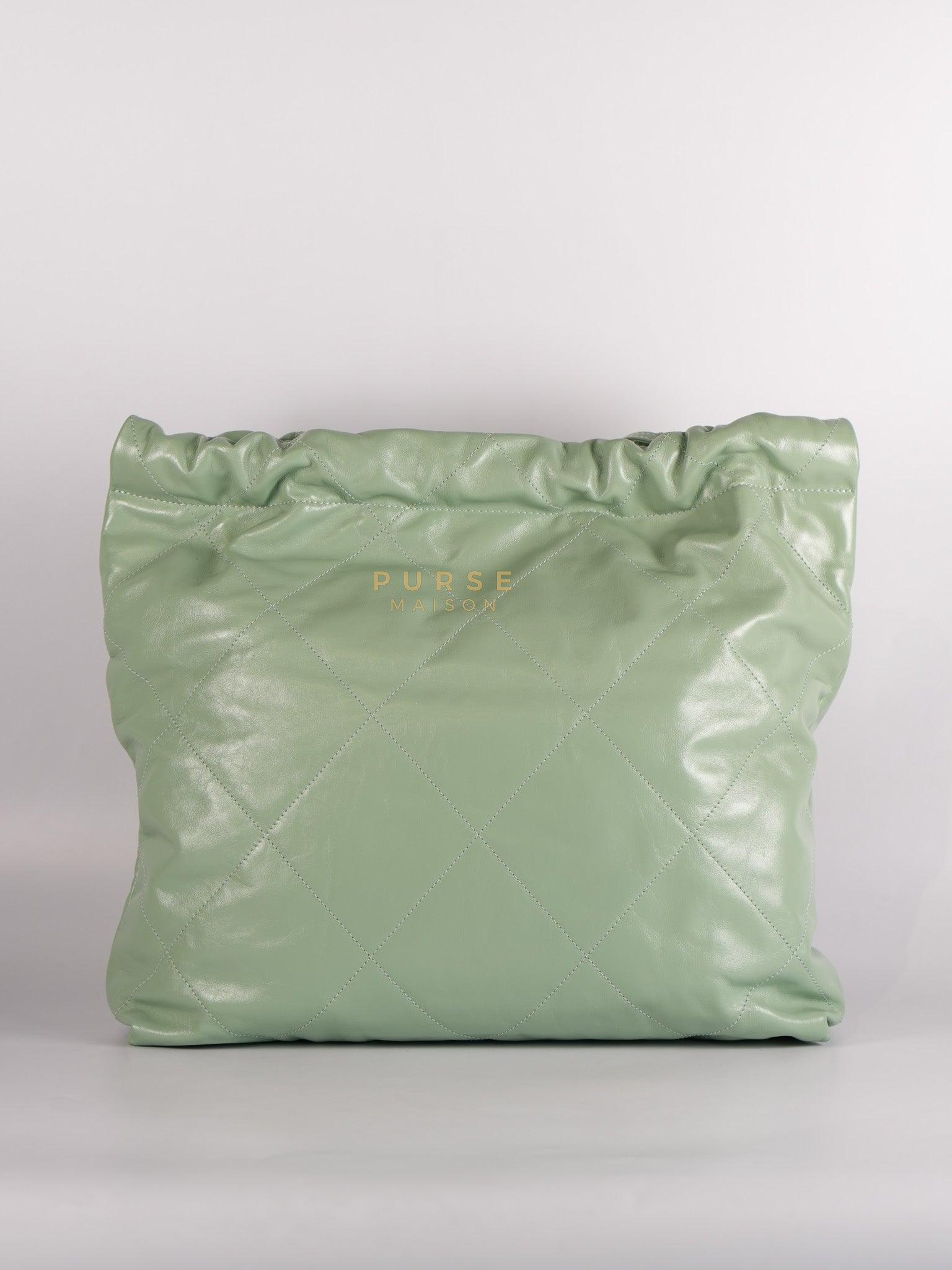 22 Medium in Light Green Shiny Calfskin Leather & Aged Gold Hardware (Microchip) | Purse Maison Luxury Bags Shop