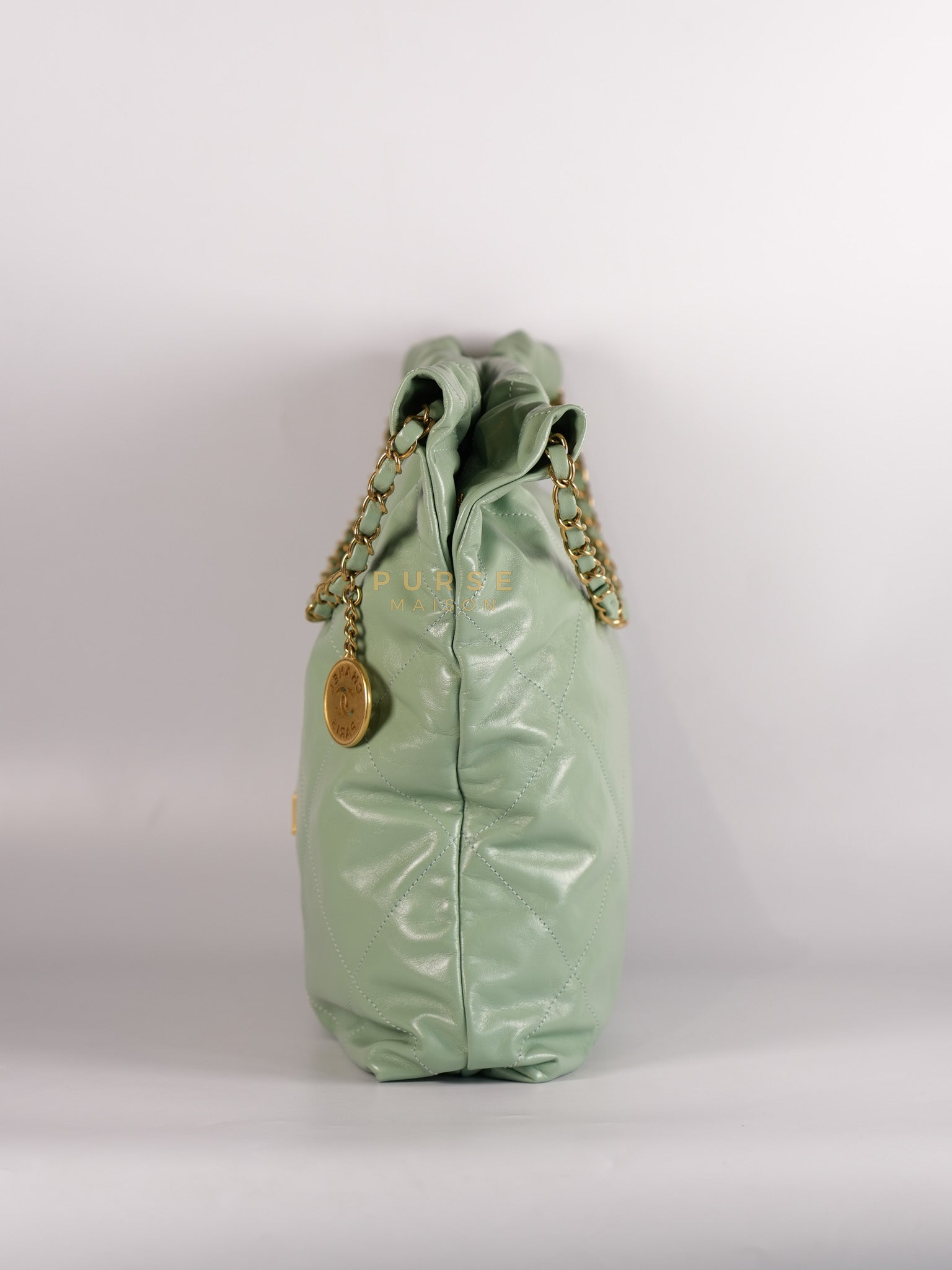 22 Medium in Light Green Shiny Calfskin Leather & Aged Gold Hardware (Microchip) | Purse Maison Luxury Bags Shop