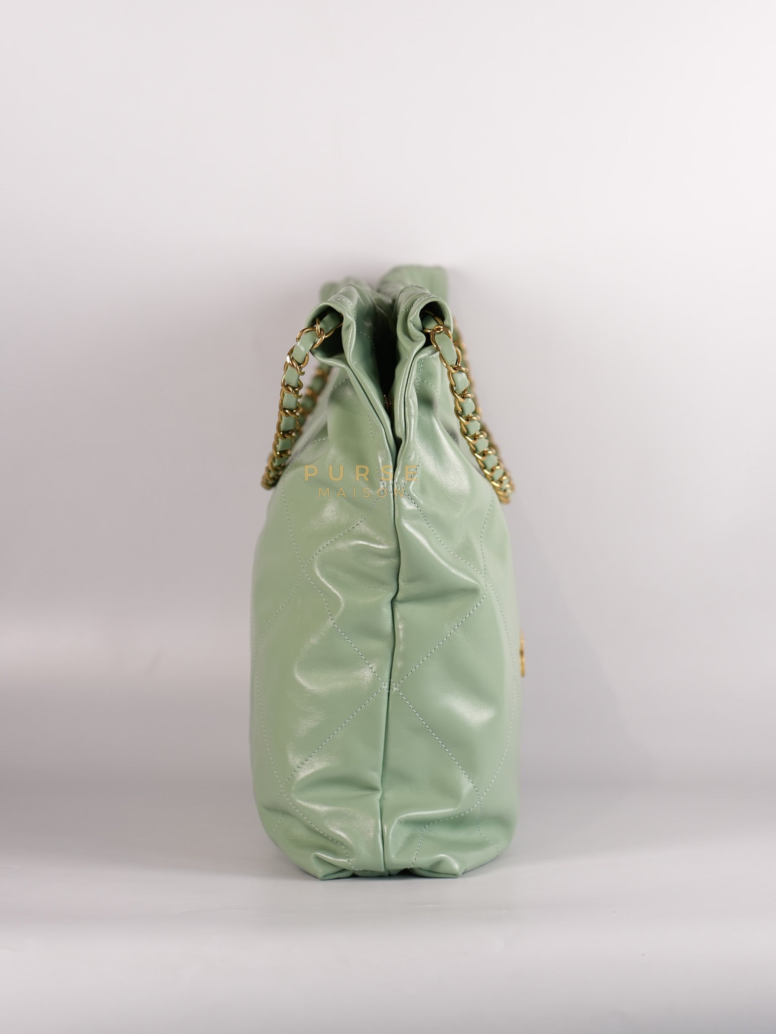 22 Medium in Light Green Shiny Calfskin Leather & Aged Gold Hardware (Microchip) | Purse Maison Luxury Bags Shop