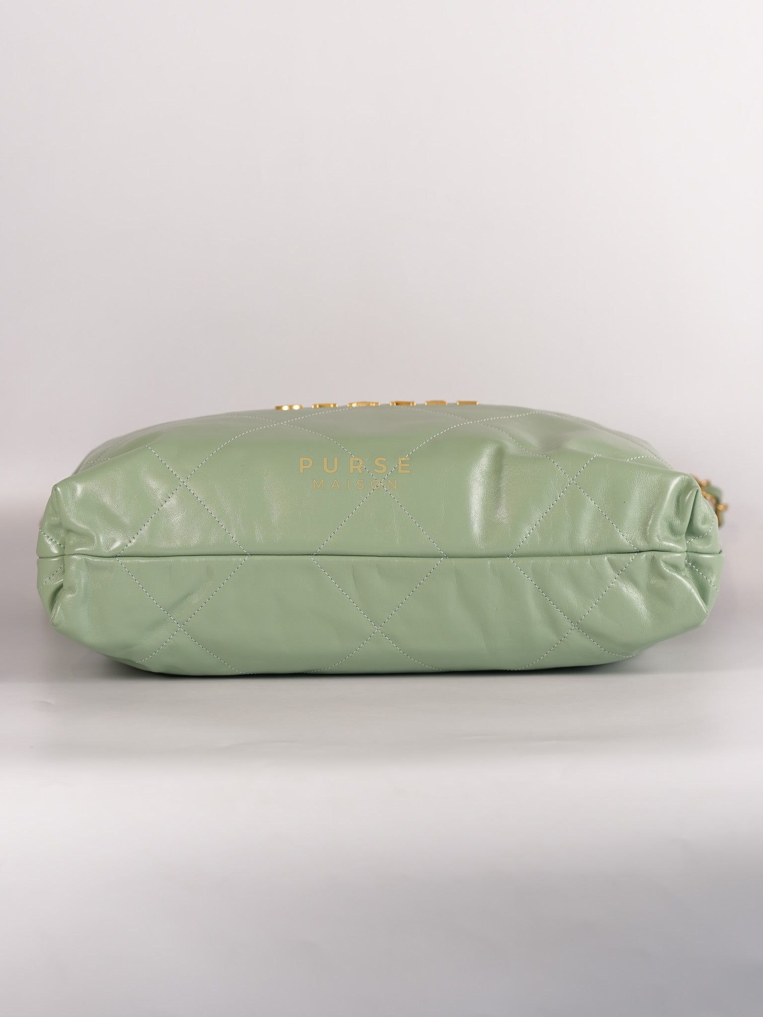 22 Medium in Light Green Shiny Calfskin Leather & Aged Gold Hardware (Microchip) | Purse Maison Luxury Bags Shop