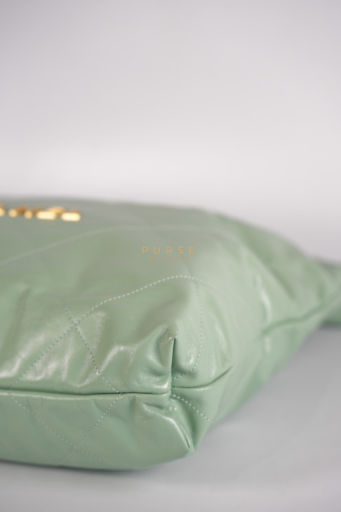 22 Medium in Light Green Shiny Calfskin Leather & Aged Gold Hardware (Microchip) | Purse Maison Luxury Bags Shop