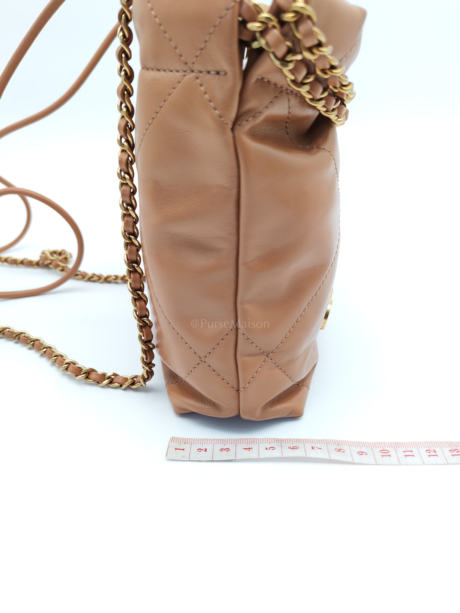 22 Mini in Caramel Shiny Calfskin Leather and Aged Gold Hardware (Microchip) | Purse Maison Luxury Bags Shop