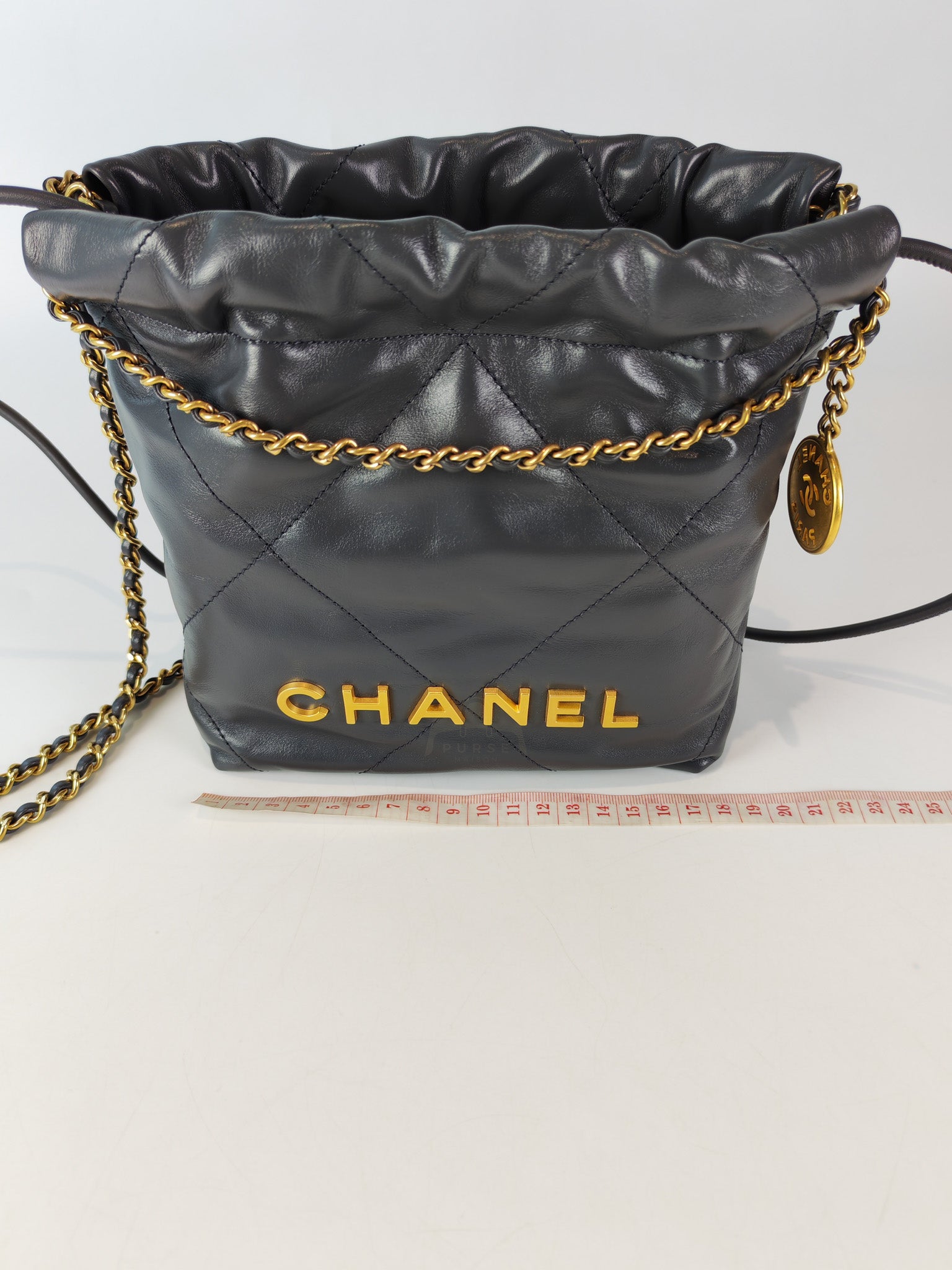 22 Mini in Dark Gray Calfskin Leather Aged Gold Hardware (Microchip) | Purse Maison Luxury Bags Shop