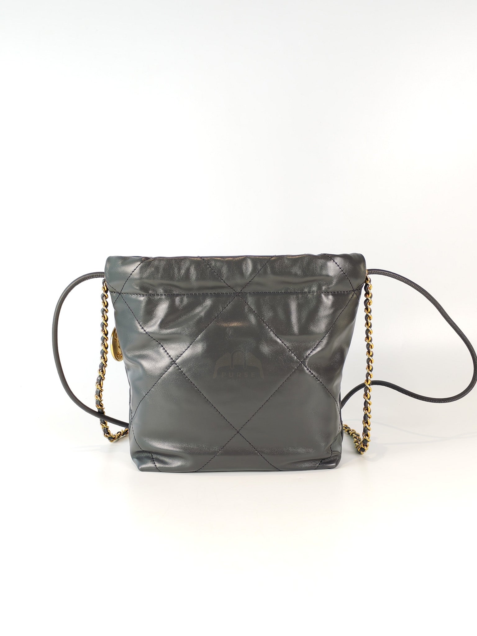22 Mini in Dark Gray Calfskin Leather Aged Gold Hardware (Microchip) | Purse Maison Luxury Bags Shop