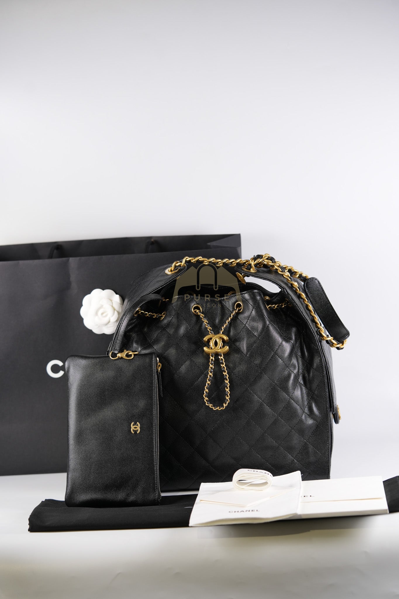25 Medium in Black Caviar Leather and Aged Gold Hardware (Microchip) | Purse Maison Luxury Bags Shop