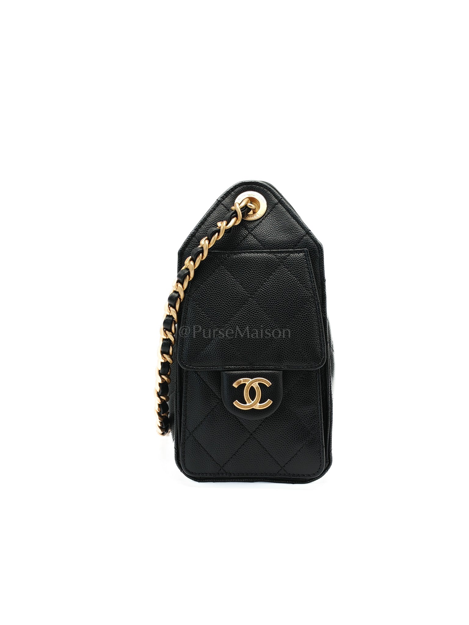 25 Mini in Black Caviar Leather Aged Gold Hardware(Microchip) | Purse Maison Luxury Bags Shop