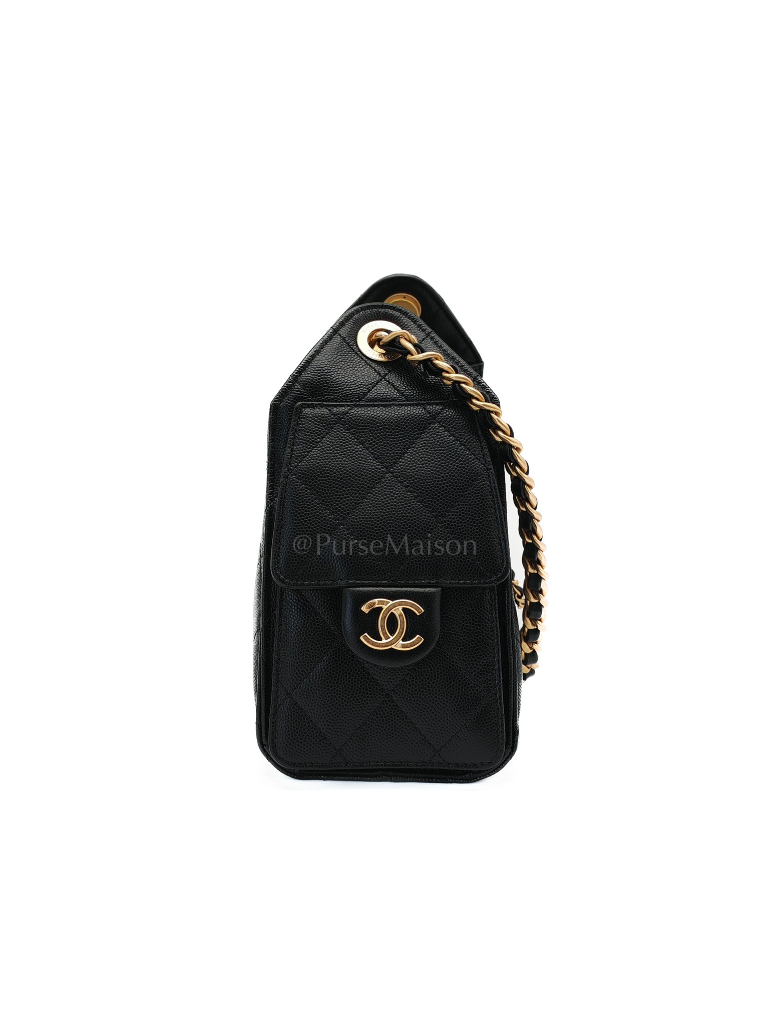 25 Mini in Black Caviar Leather Aged Gold Hardware(Microchip) | Purse Maison Luxury Bags Shop