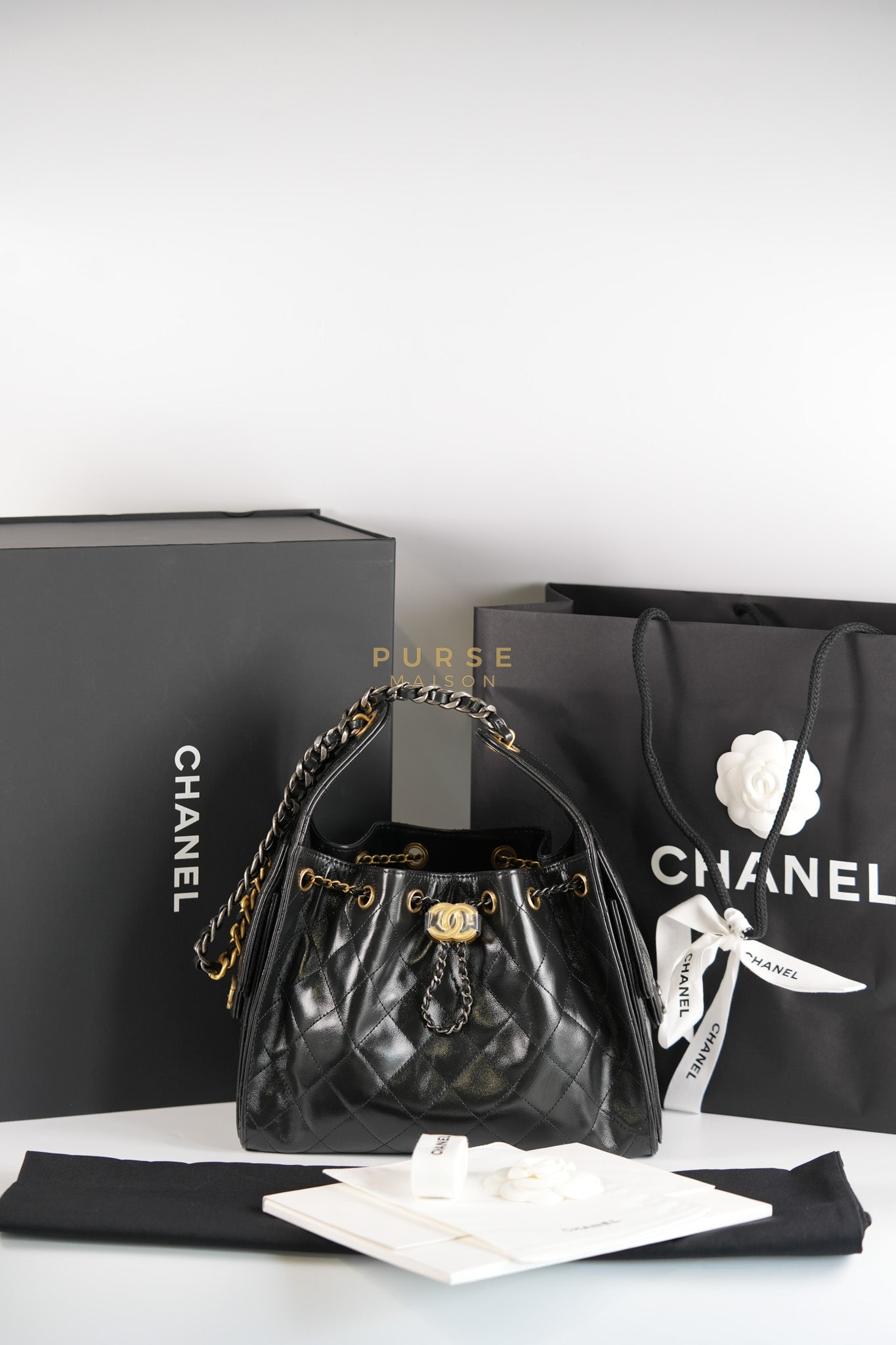 25 Small Hobo Tote Bag in Black Calfskin Leather & Mixed Hardware Microchip | Purse Maison Luxury Bags Shop