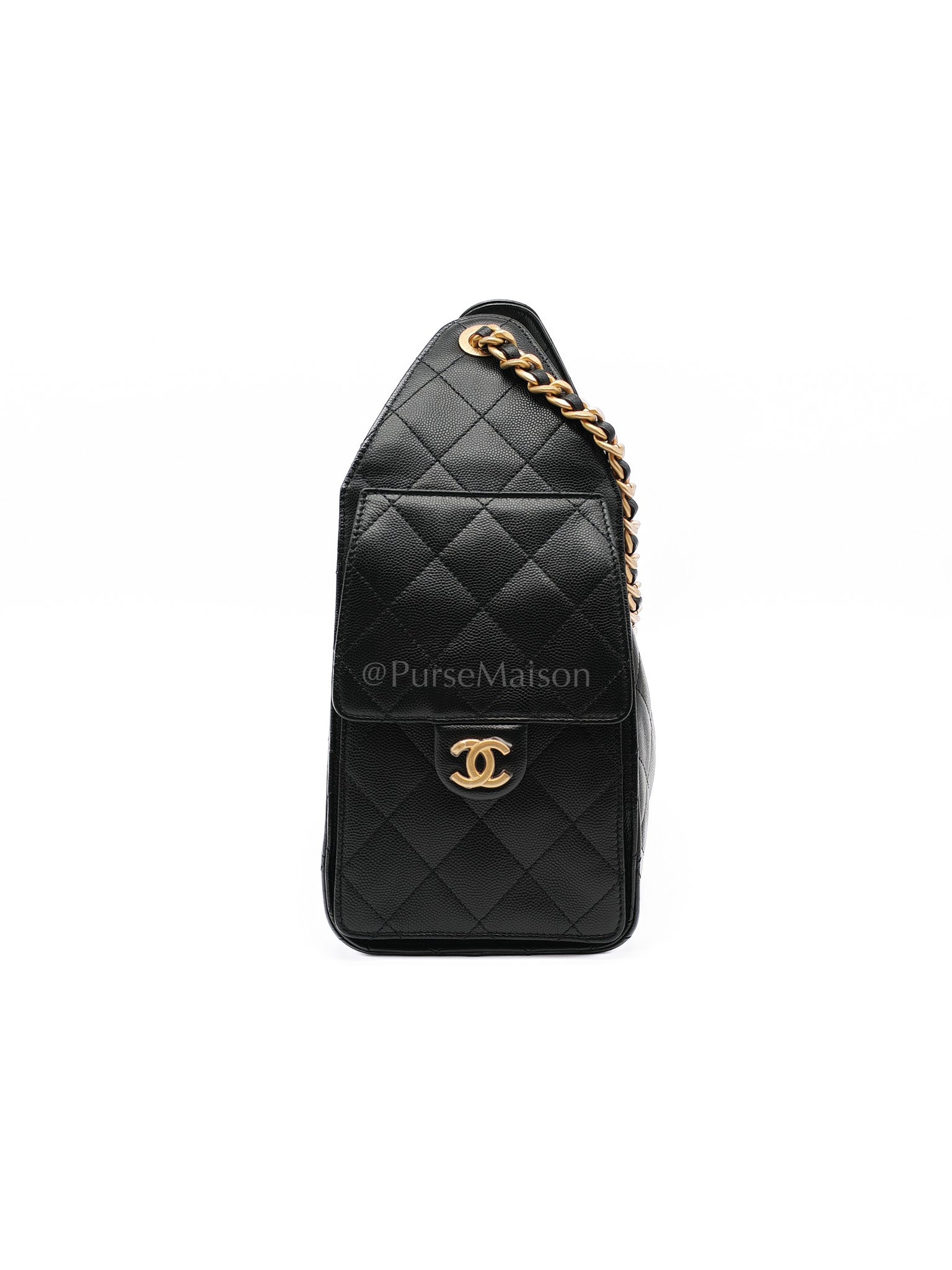 25 Small in Black Caviar Leather Aged Gold Hardware (Microchip) | Purse Maison Luxury Bags Shop