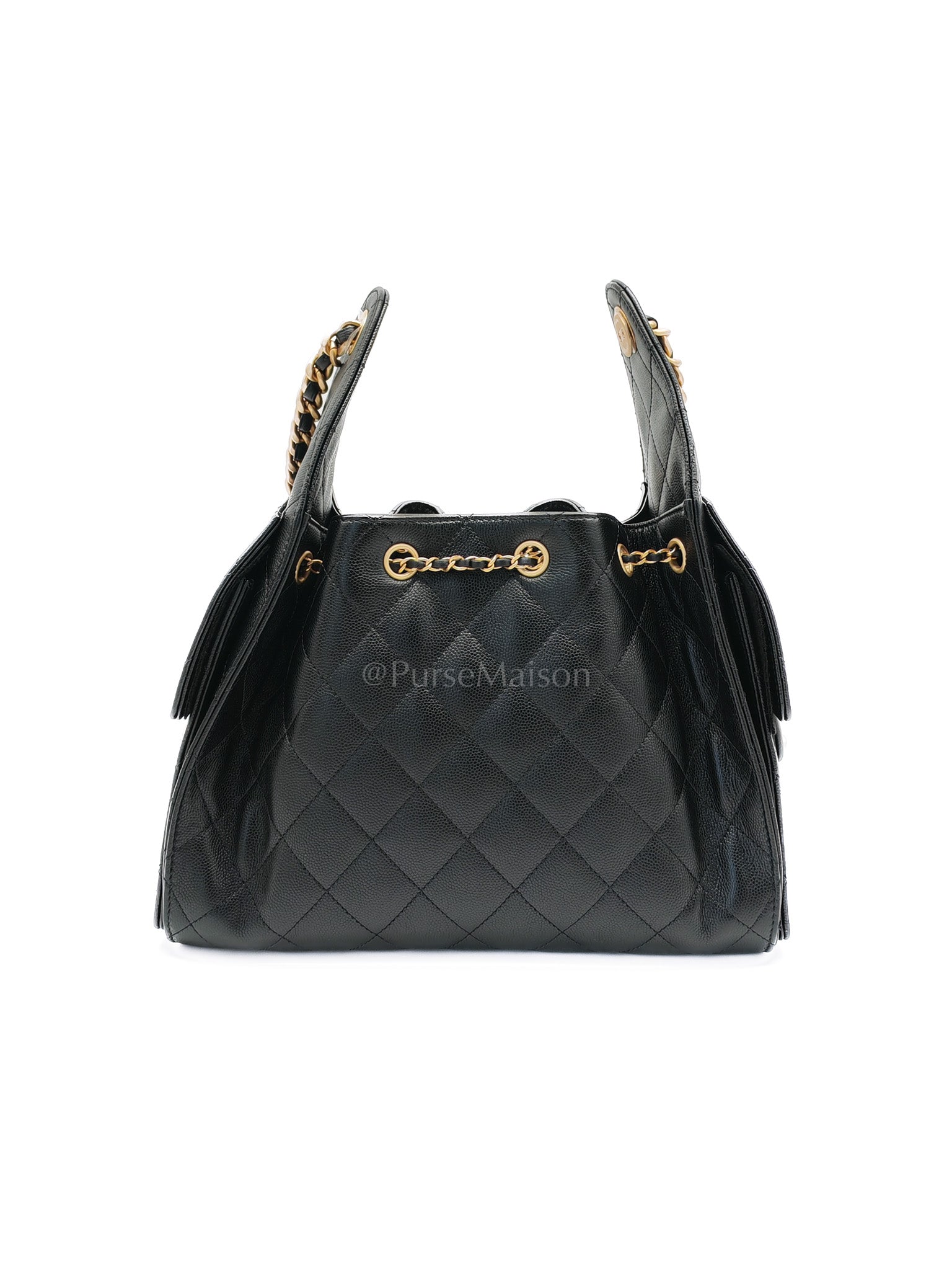 25 Small in Black Caviar Leather Aged Gold Hardware Microchip(N5****NE) | Purse Maison Luxury Bags Shop