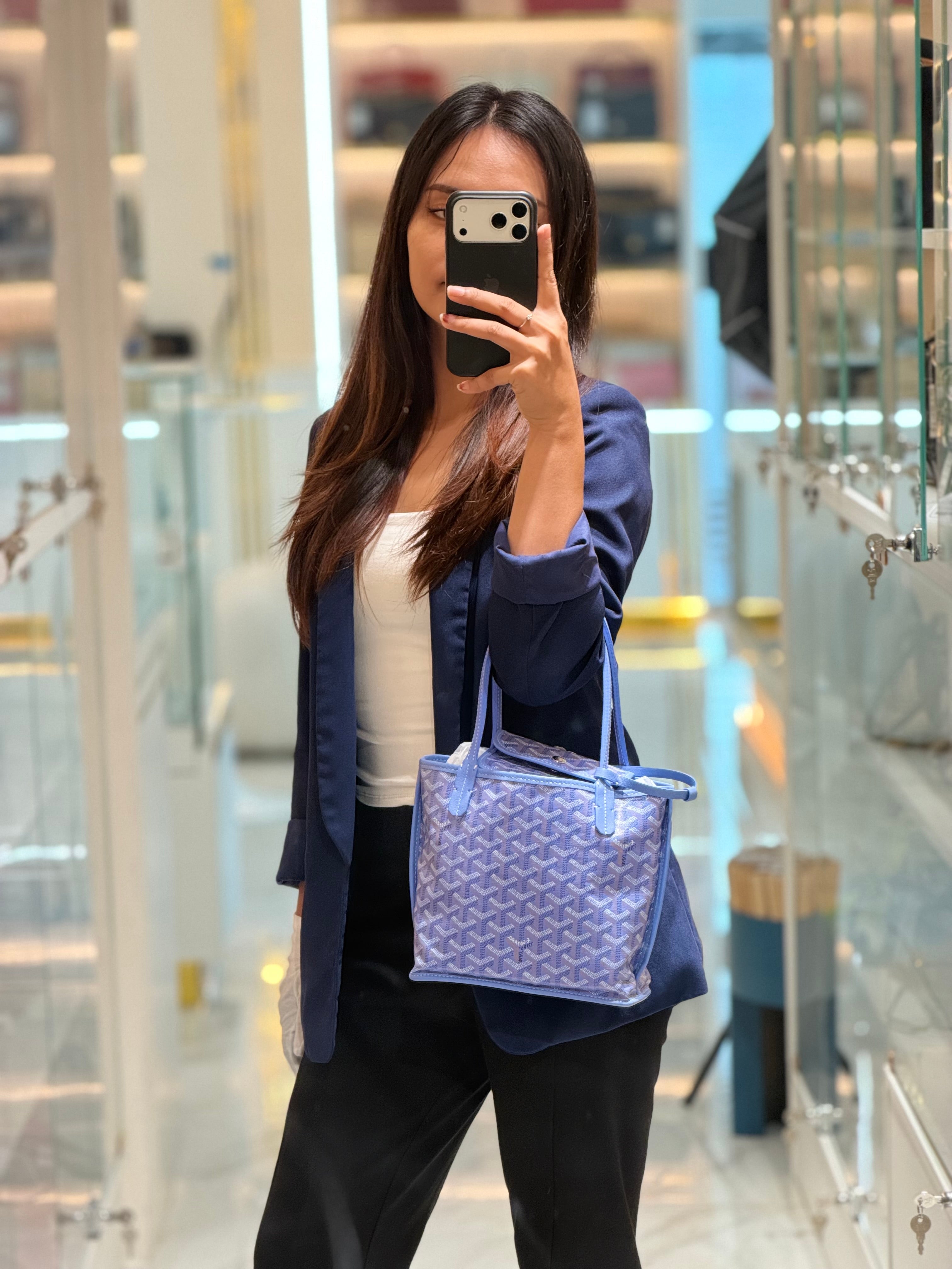 Mini Anjou in Iris/Fuchsia Goyardine Coated Canvas (2025 Limited Edition)