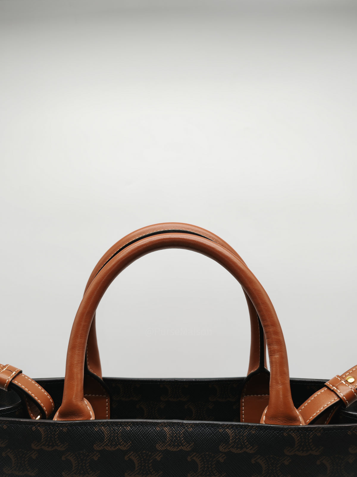 Celine Triomphe Canvas and Tan Calfskin Leather Small Vertical Cabas