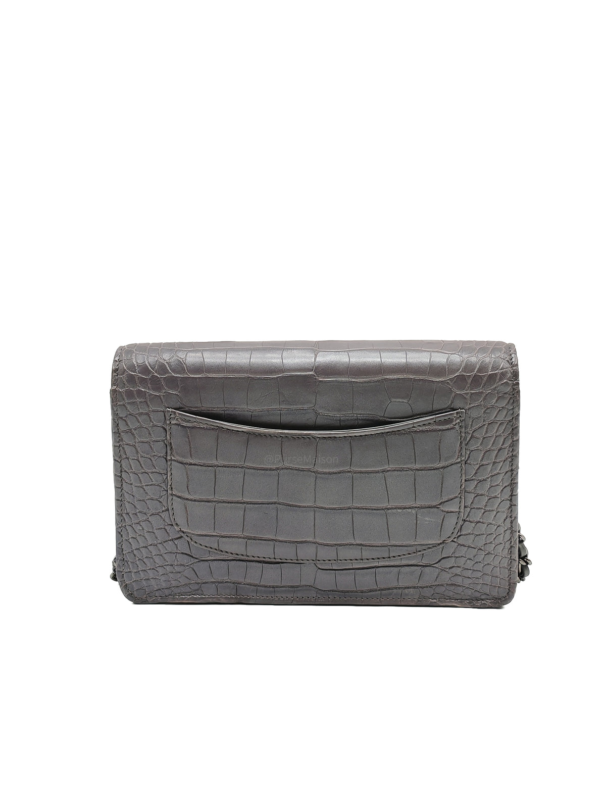 Chanel Classic Wallet on Chain (WOC) in Metallic Gray Alligator Leather and Silver Hardware Series 25