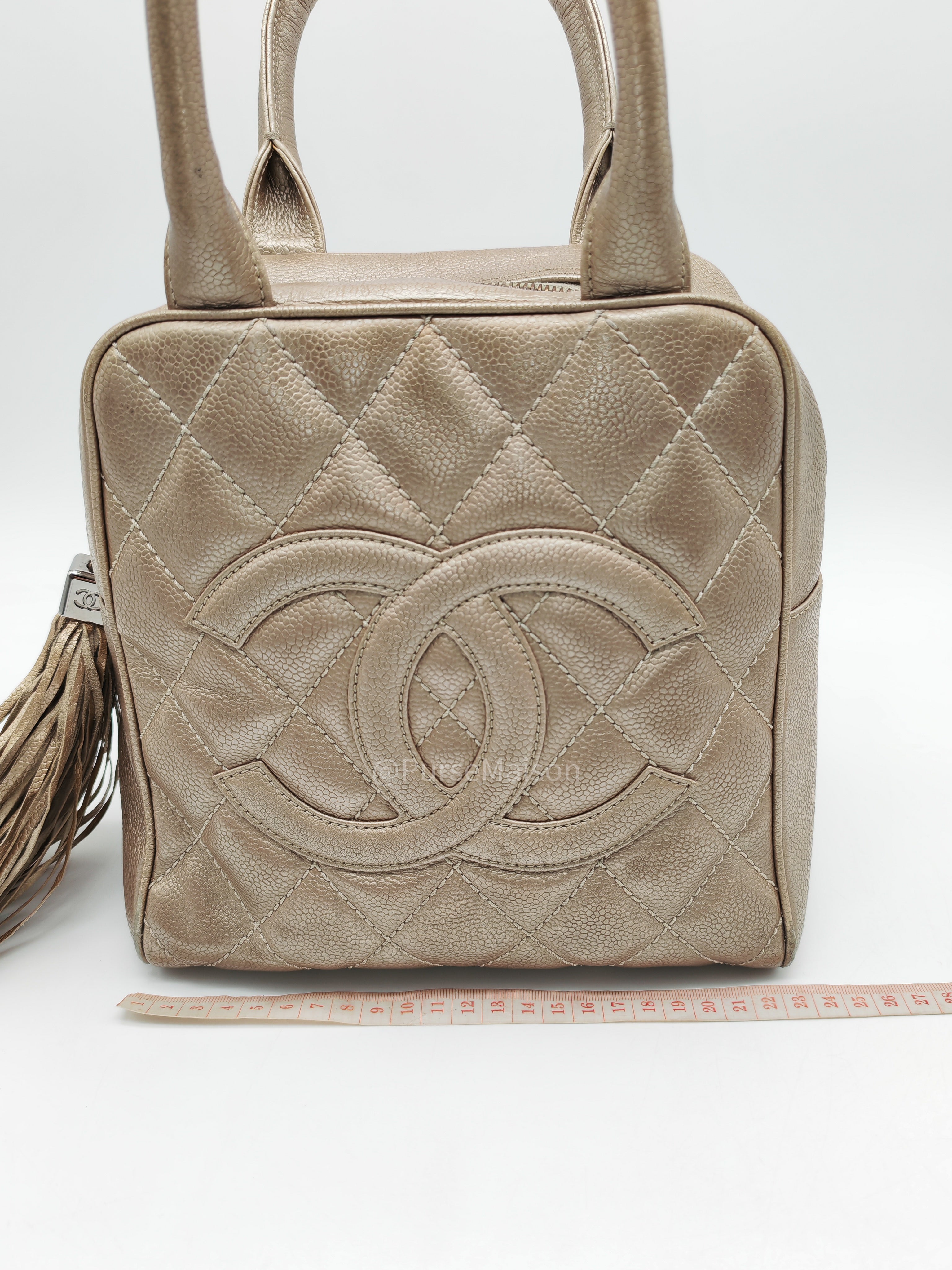 Chanel Tassel Top Handle Bag in Metallic Quilted Caviar Leather Silver Hardware (Series 9)