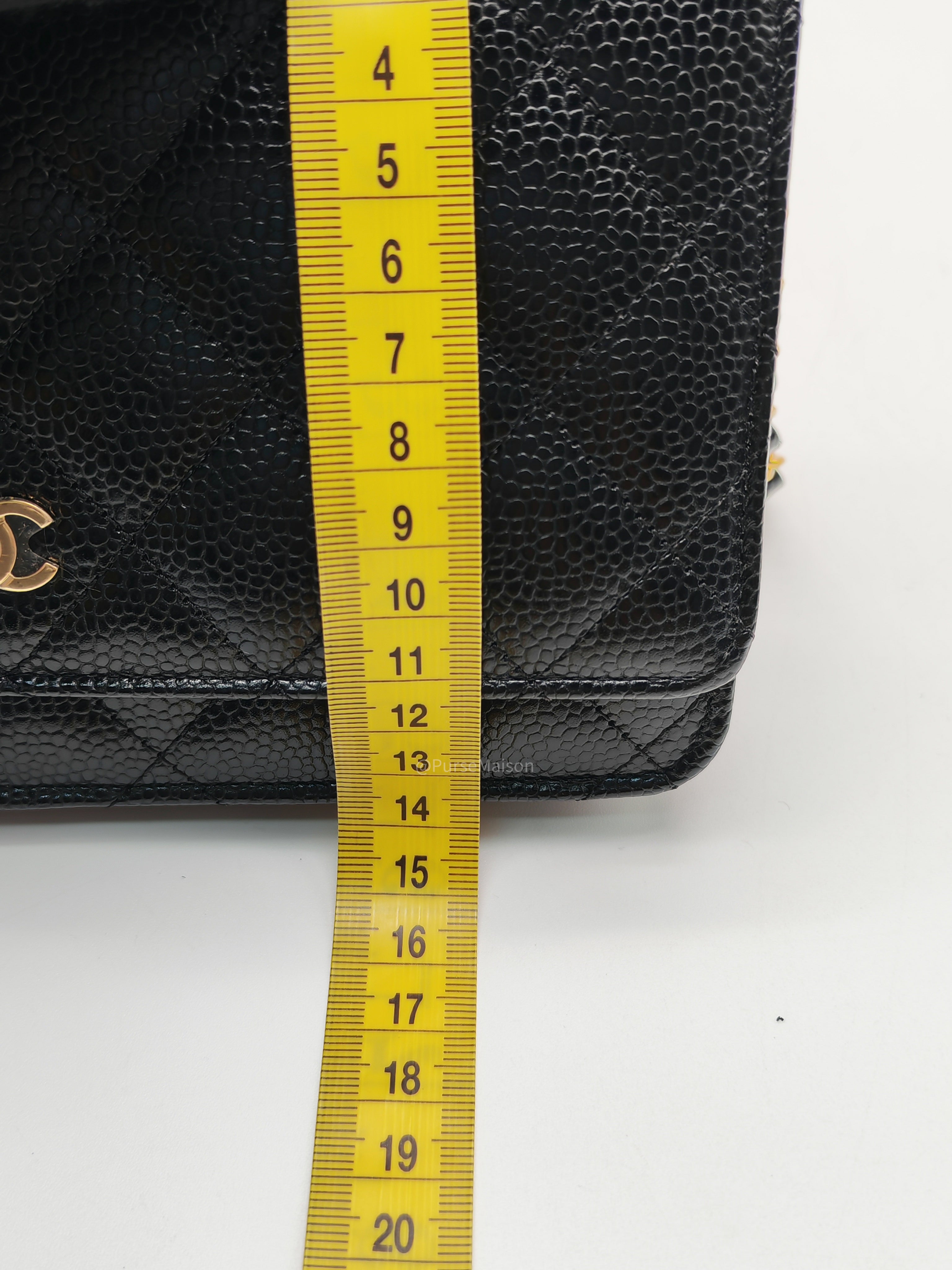 Chanel Wallet on Chain (WOC) in Black Caviar Leather Gold Hardware Microchip (NA****N3)