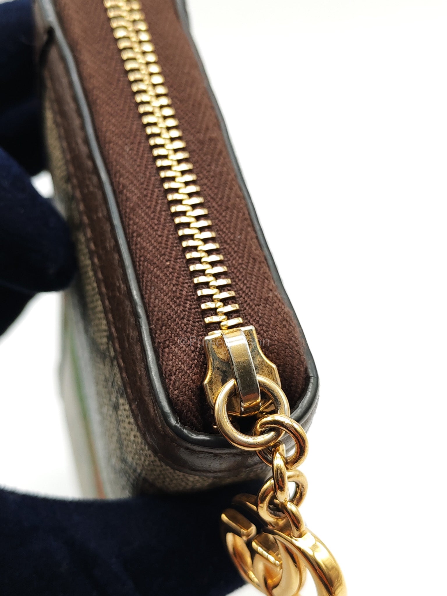 Ophidia Long Wallet in GG Supreme Canvas