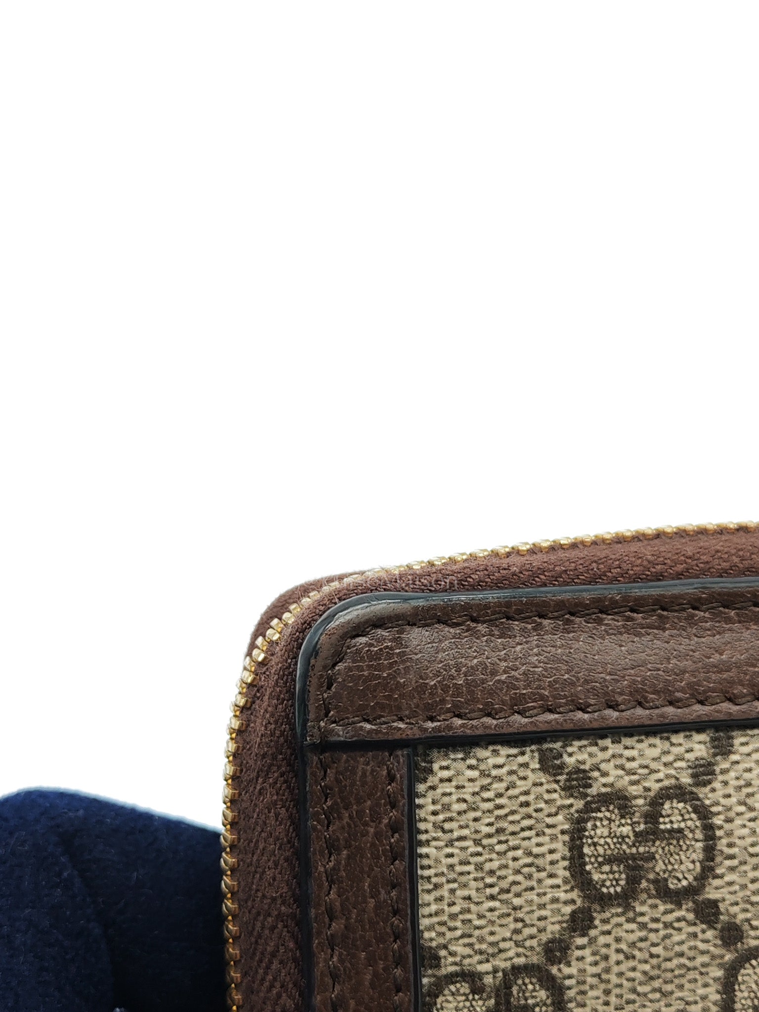 Ophidia Long Wallet in GG Supreme Canvas