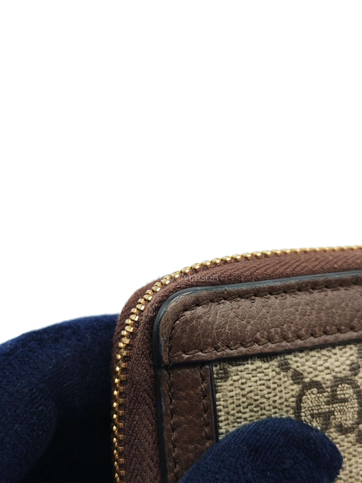 Ophidia Long Wallet in GG Supreme Canvas
