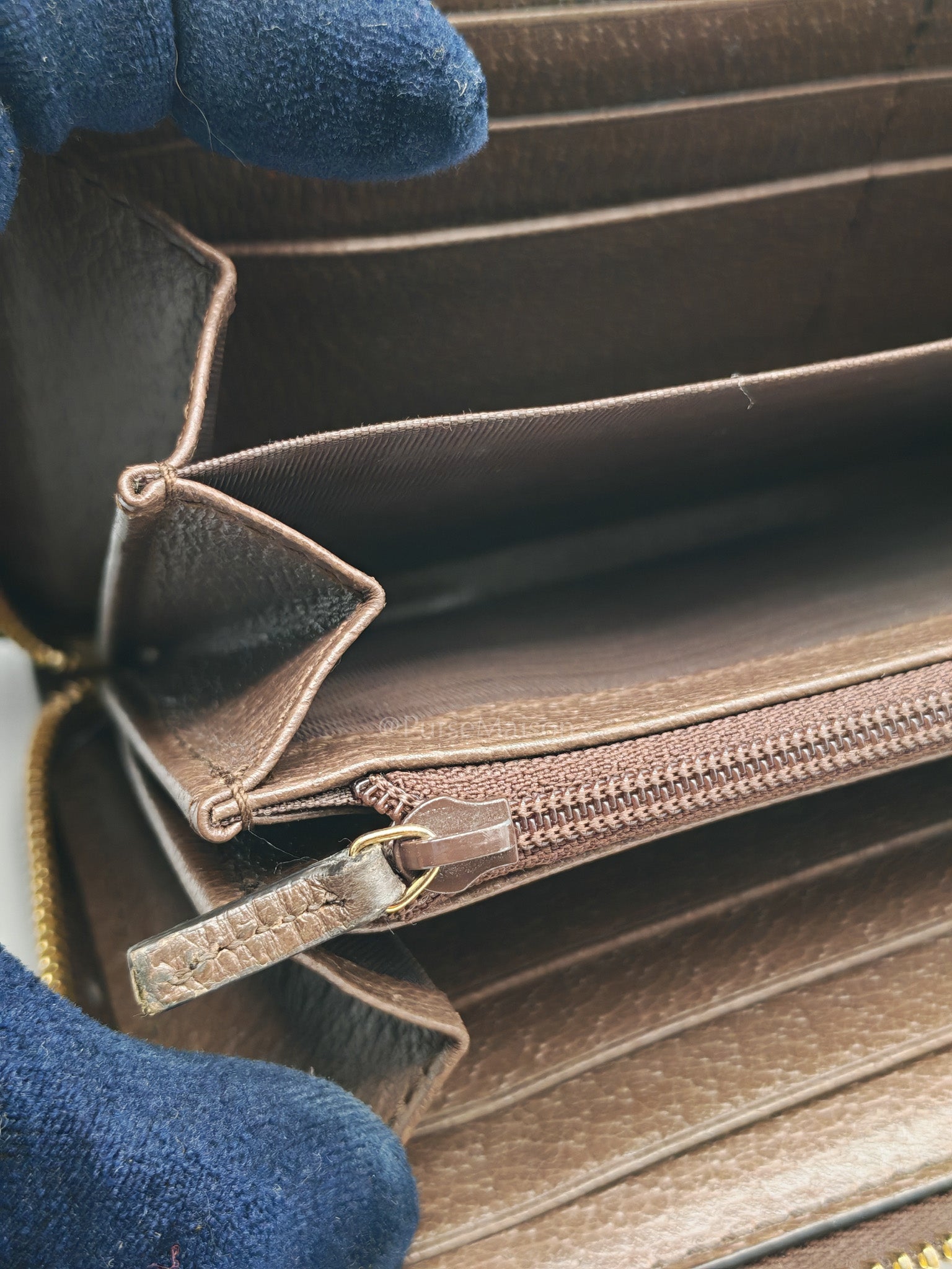 Ophidia Long Wallet in GG Supreme Canvas