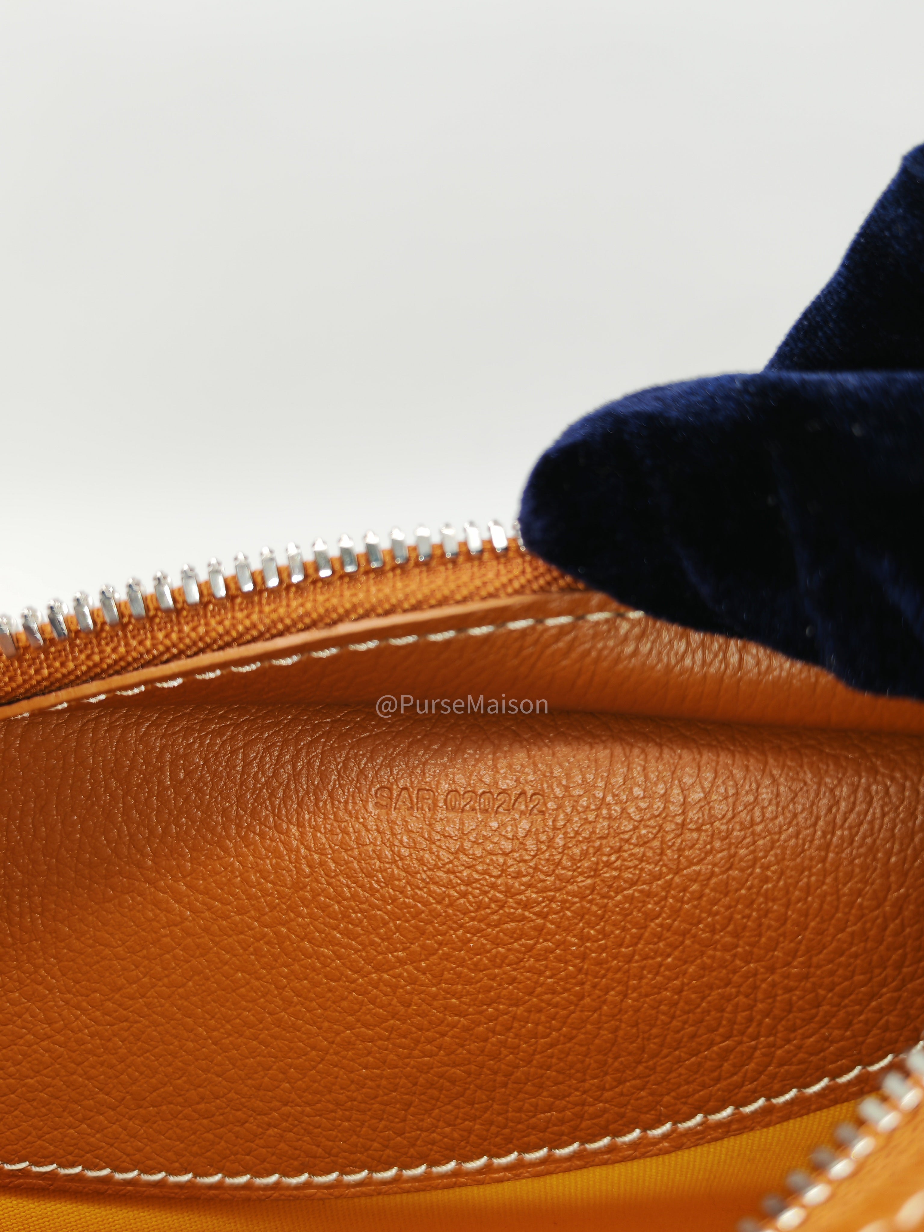 Goyard Hirondelle in Tan Goyardine Canvas Shoulder Bag