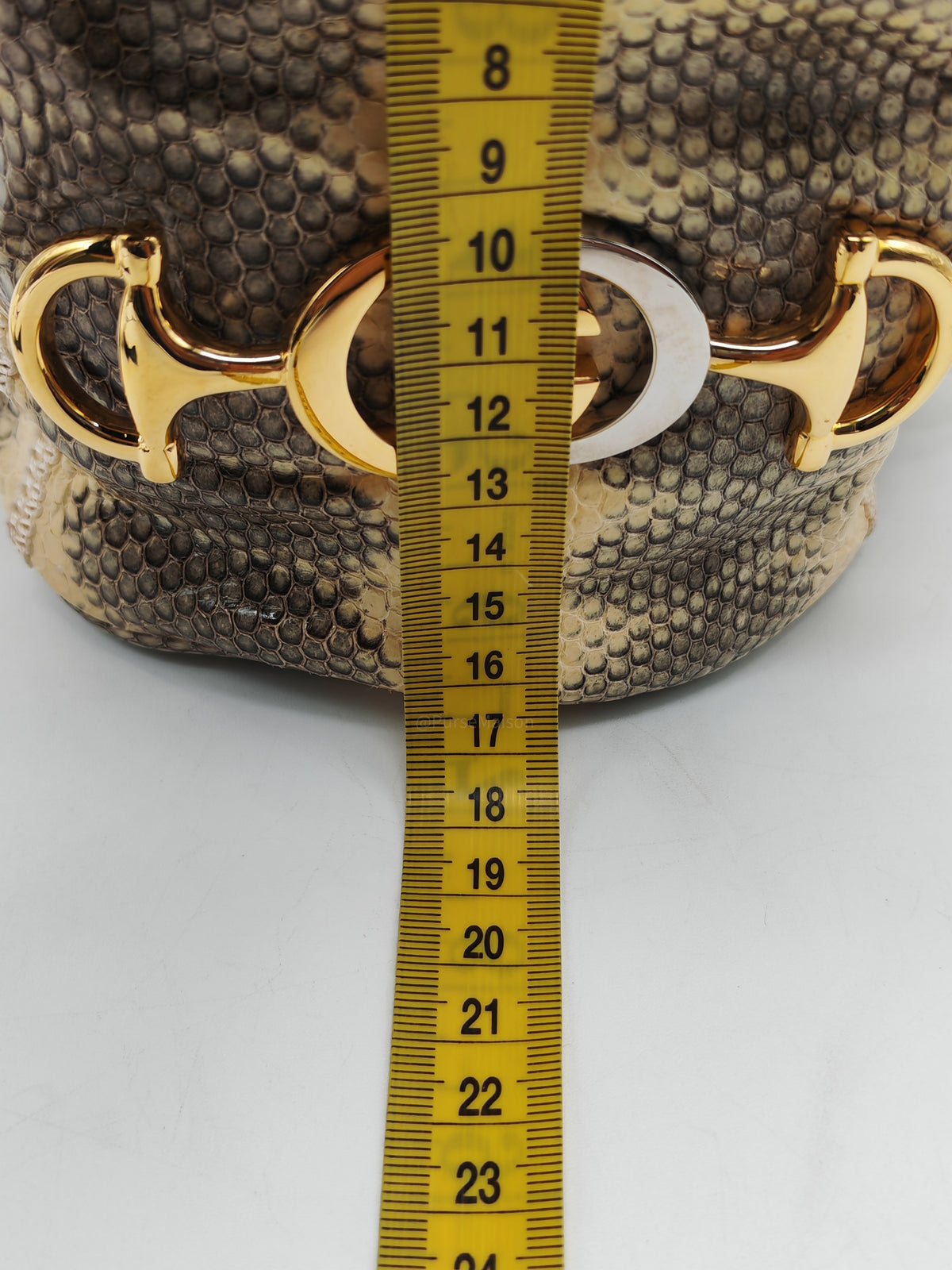 Gucci Zumi Snakeskin Mini Bucket Bag in Snakeskin Leather and Mixed Hardware