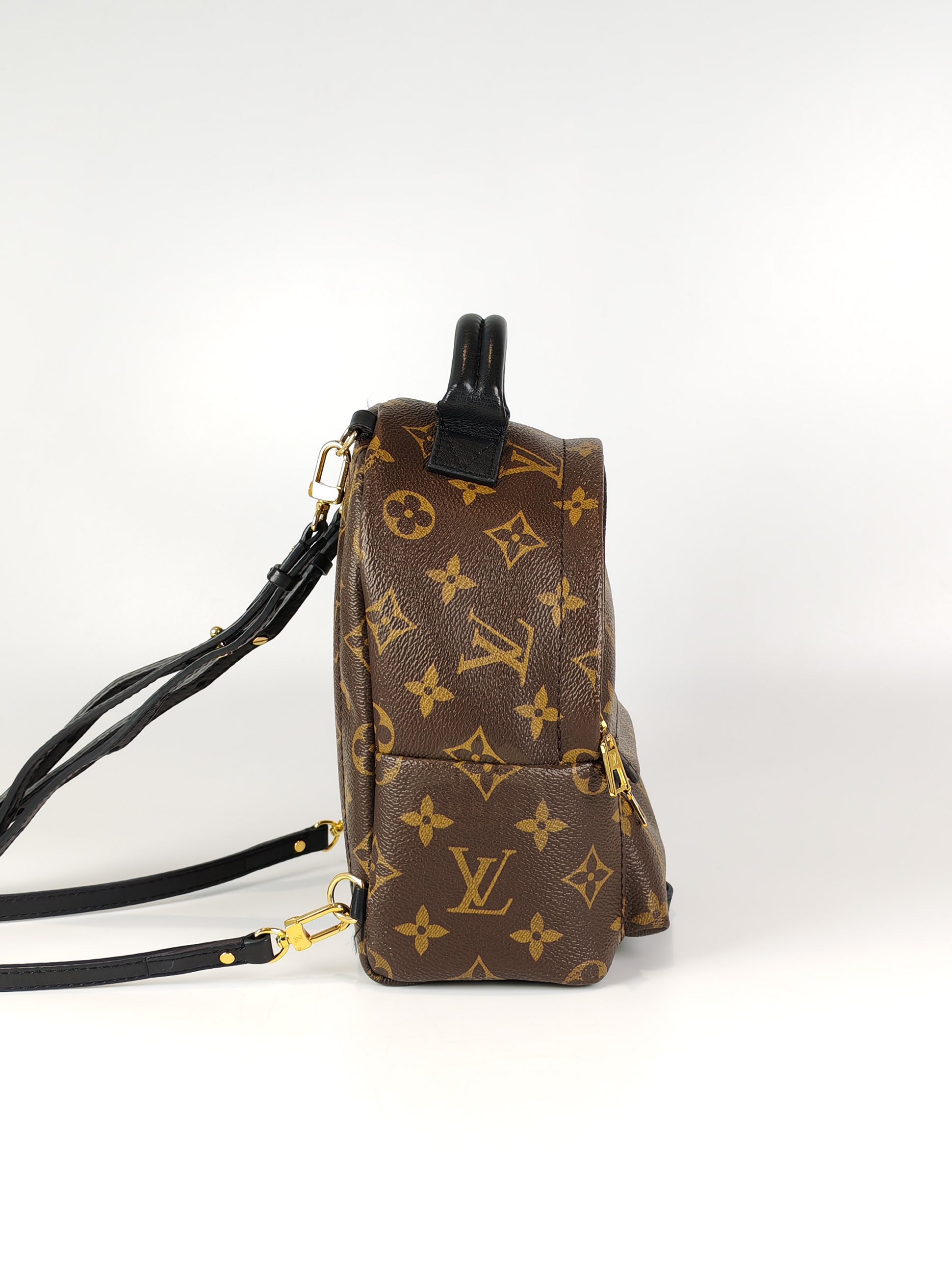 Palm Spring Mini in Monogram Canvas (Date code: CA1148)